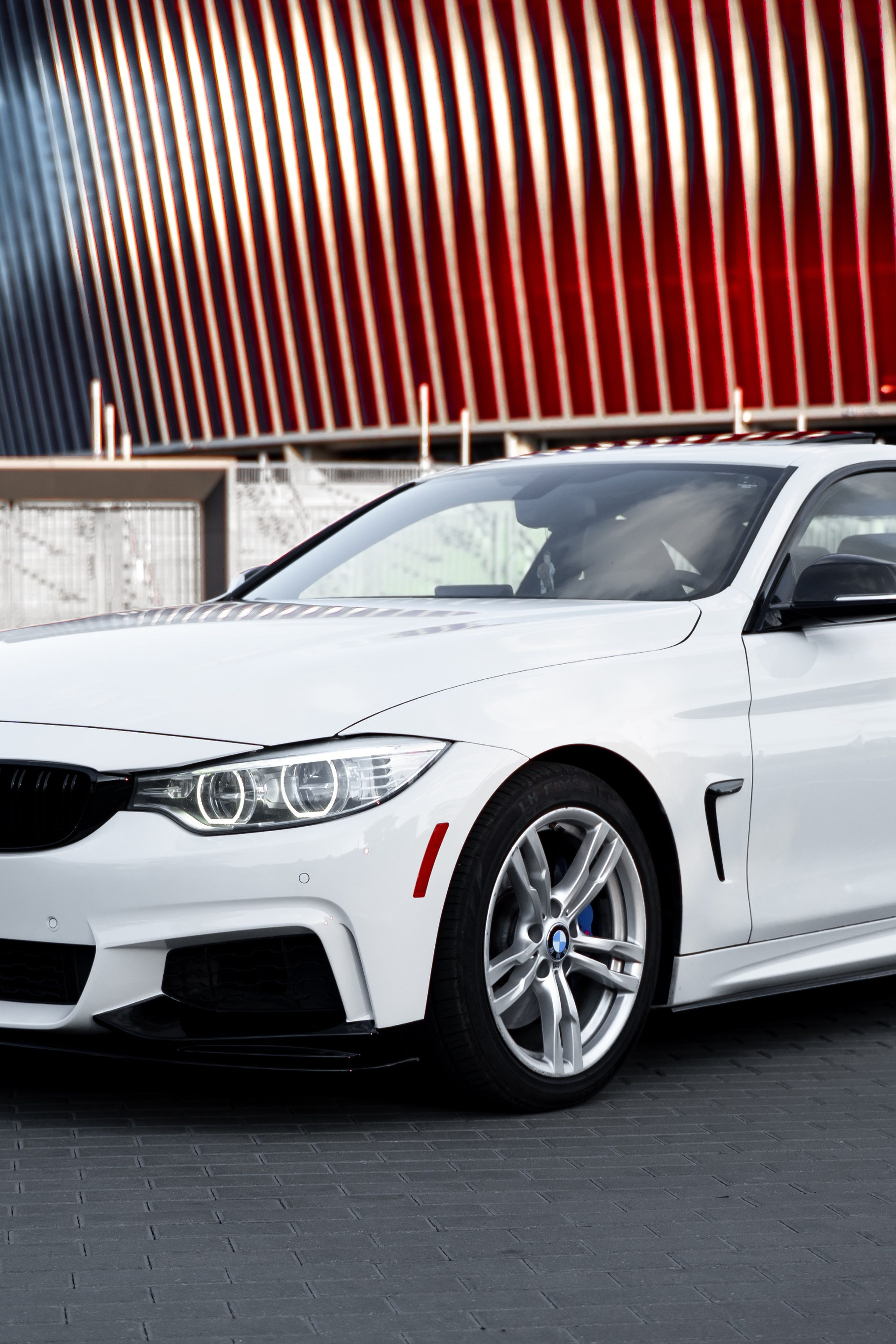 Announcements of shooting of photographer Olga Shapovalova (Zhardetska. Photographer in Belarus — Olga Shapovalova (Zhardeckaya)