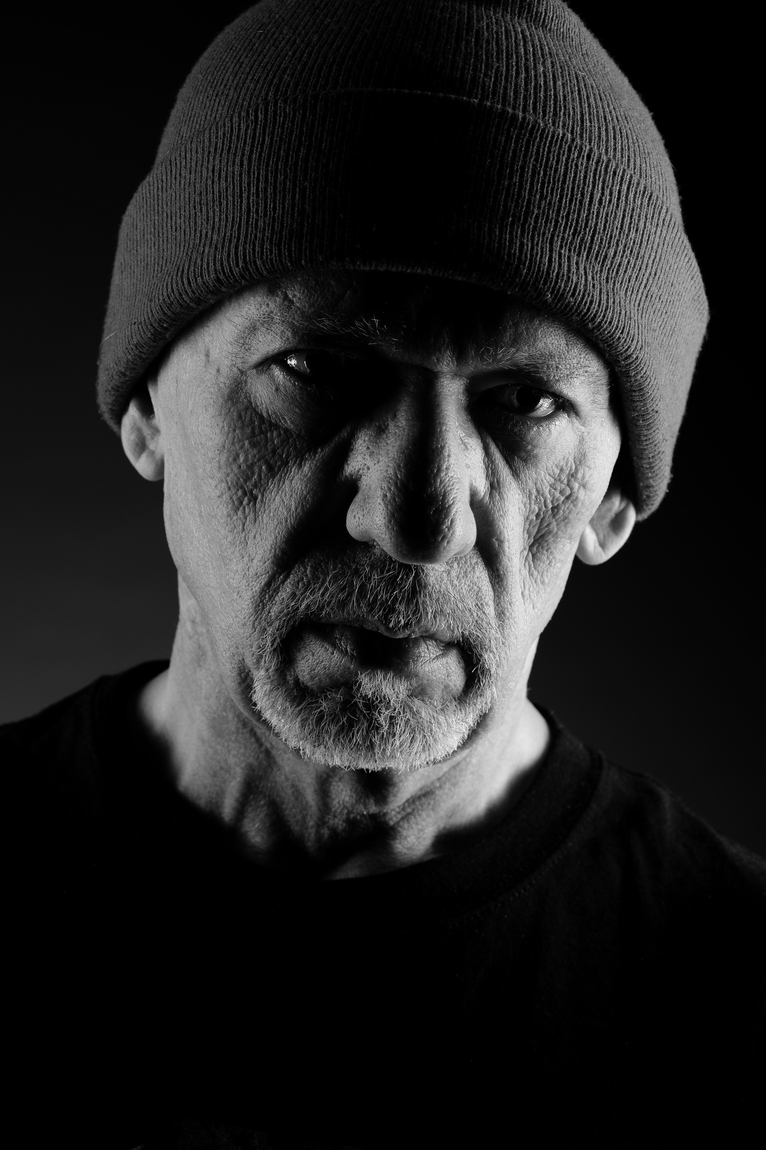 Русский Той. Photographer Michael Stenin