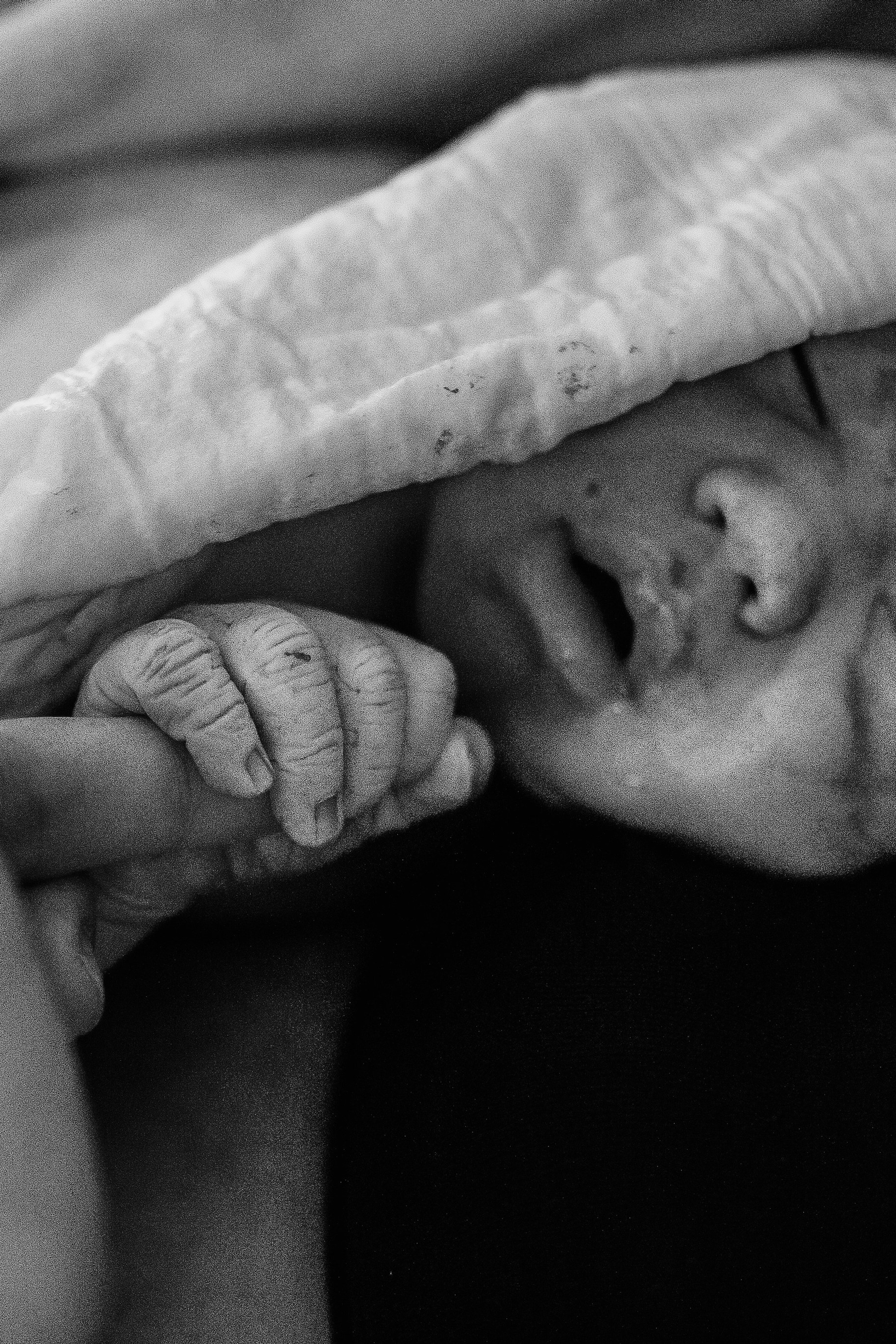 Домашняя съемка. Елена Ушакова профессиональный фотограф в Санкт-Петербурге