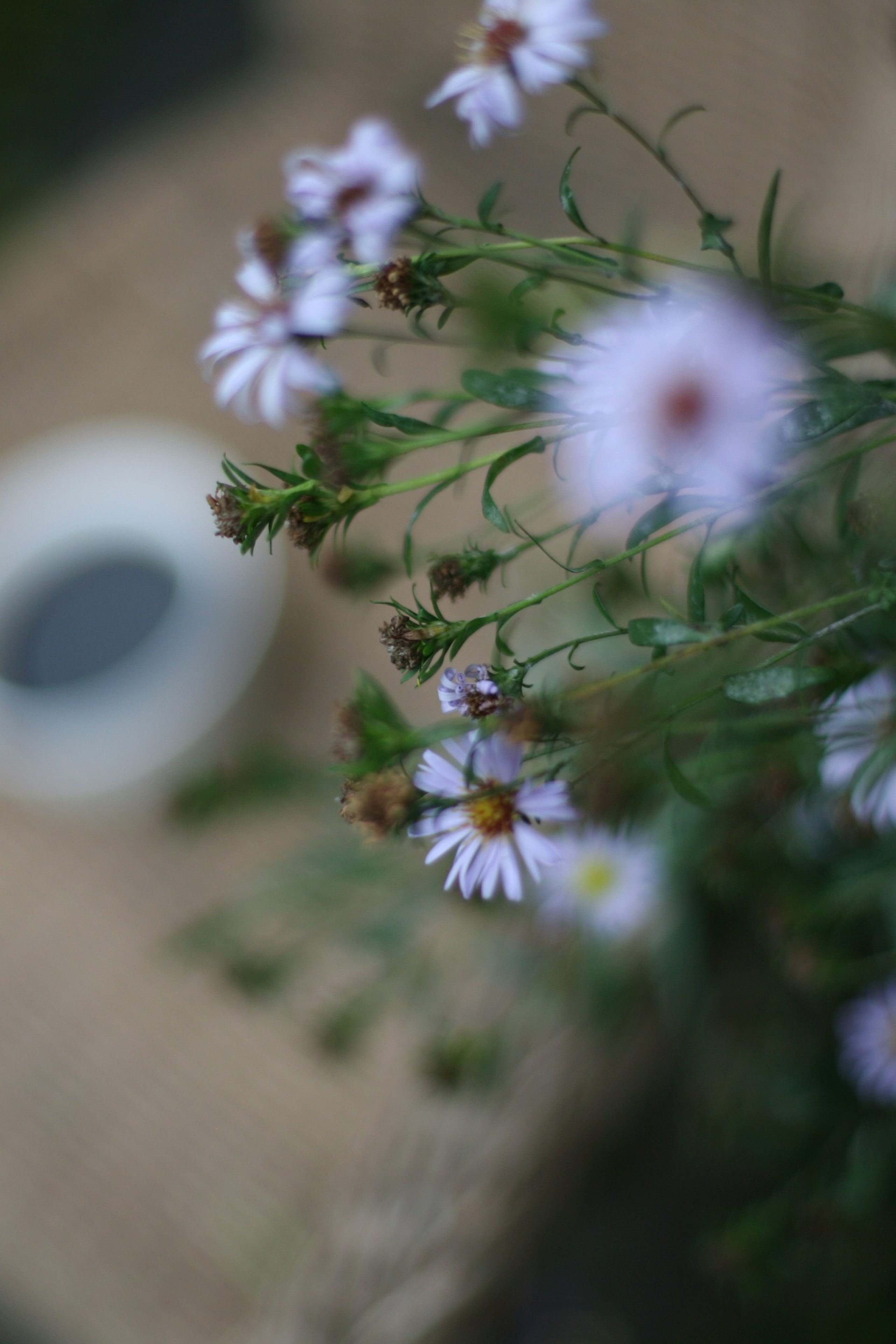 Ускользающее лето