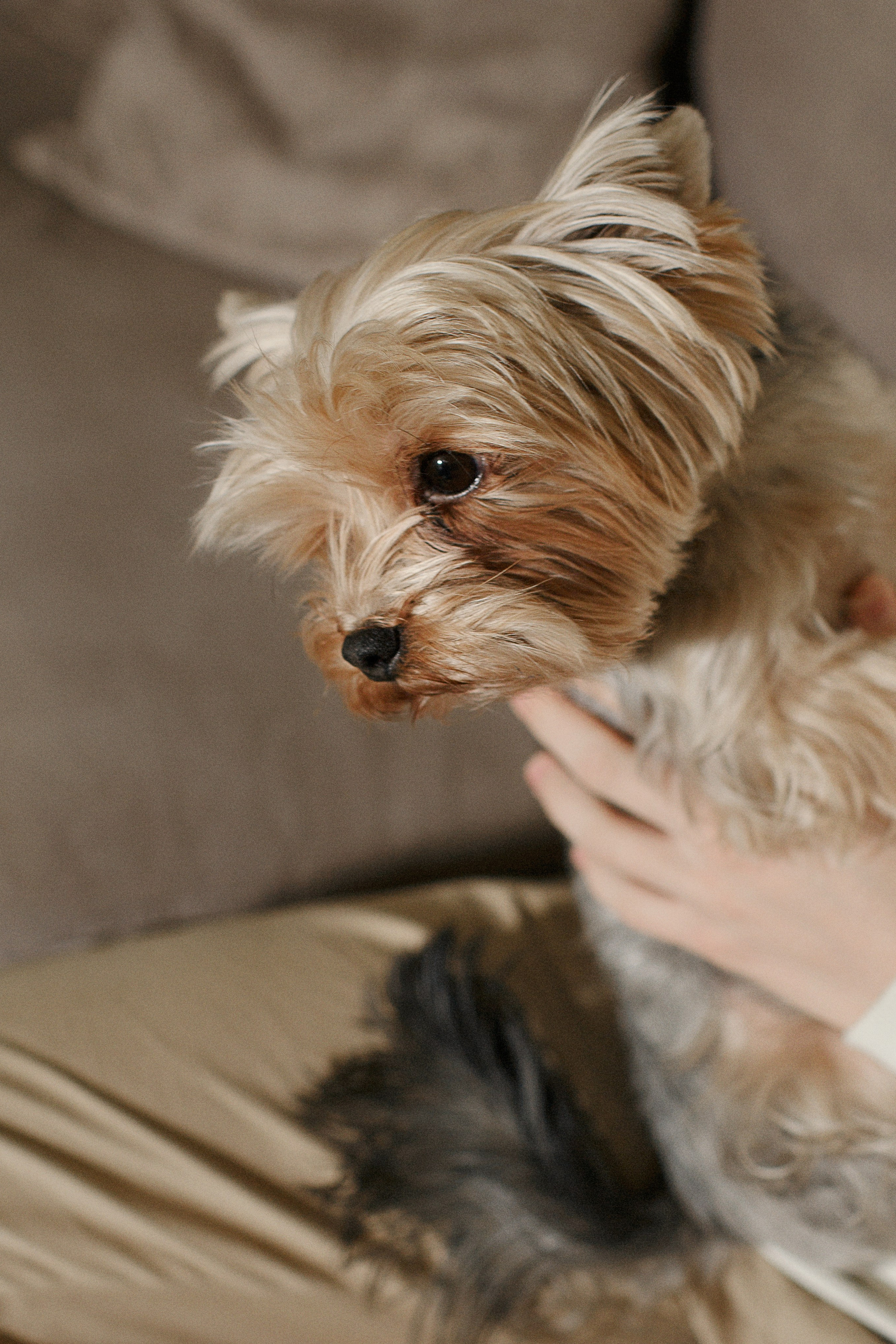 Анна / психолог. ВИЗУАЛЬНЫЙ КОНТЕНТ ДЛЯ ЭКСПЕРТОВ И БРЕНДОВ