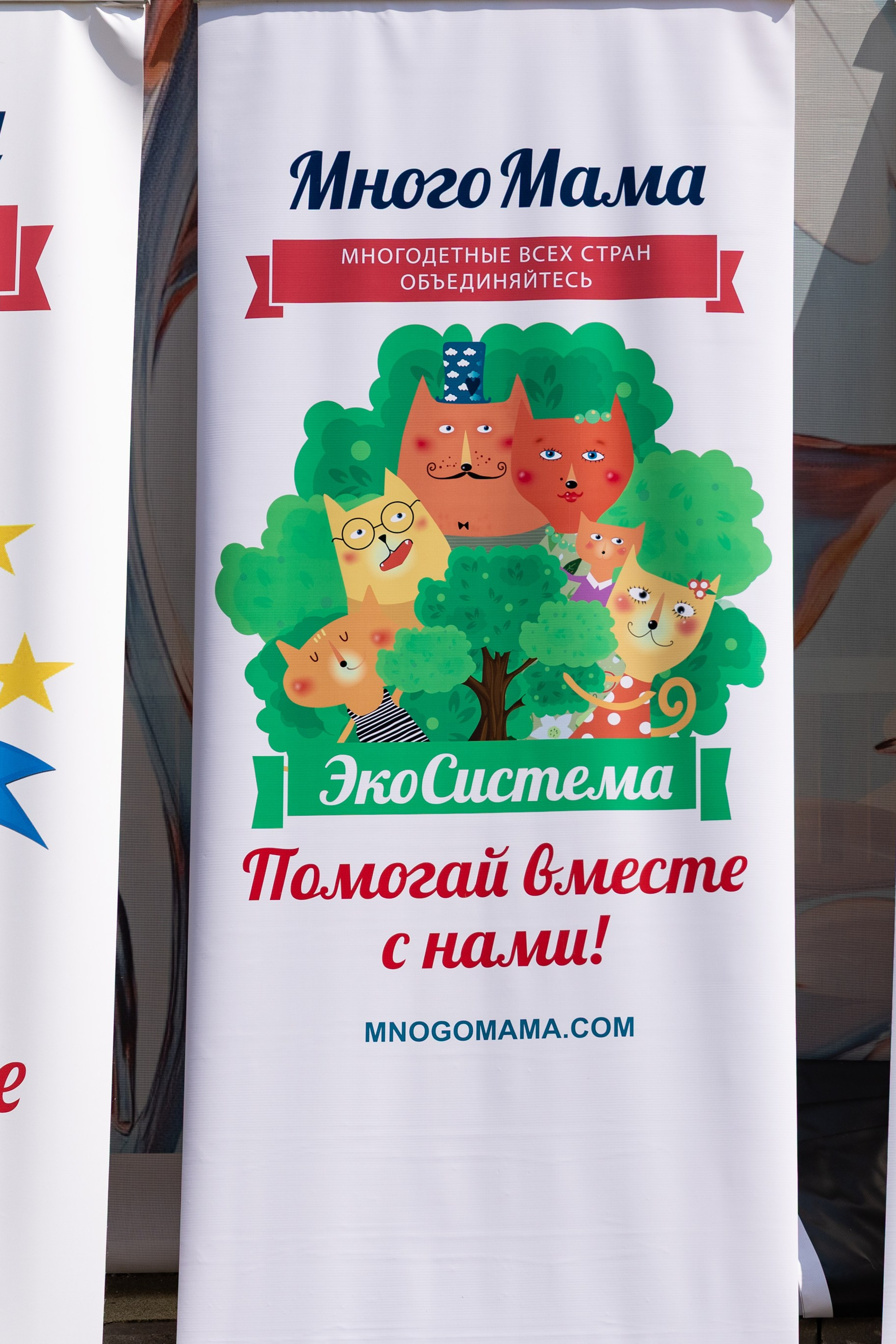 Истории. Выпускные фотоальбомы в Москве и Московской области
