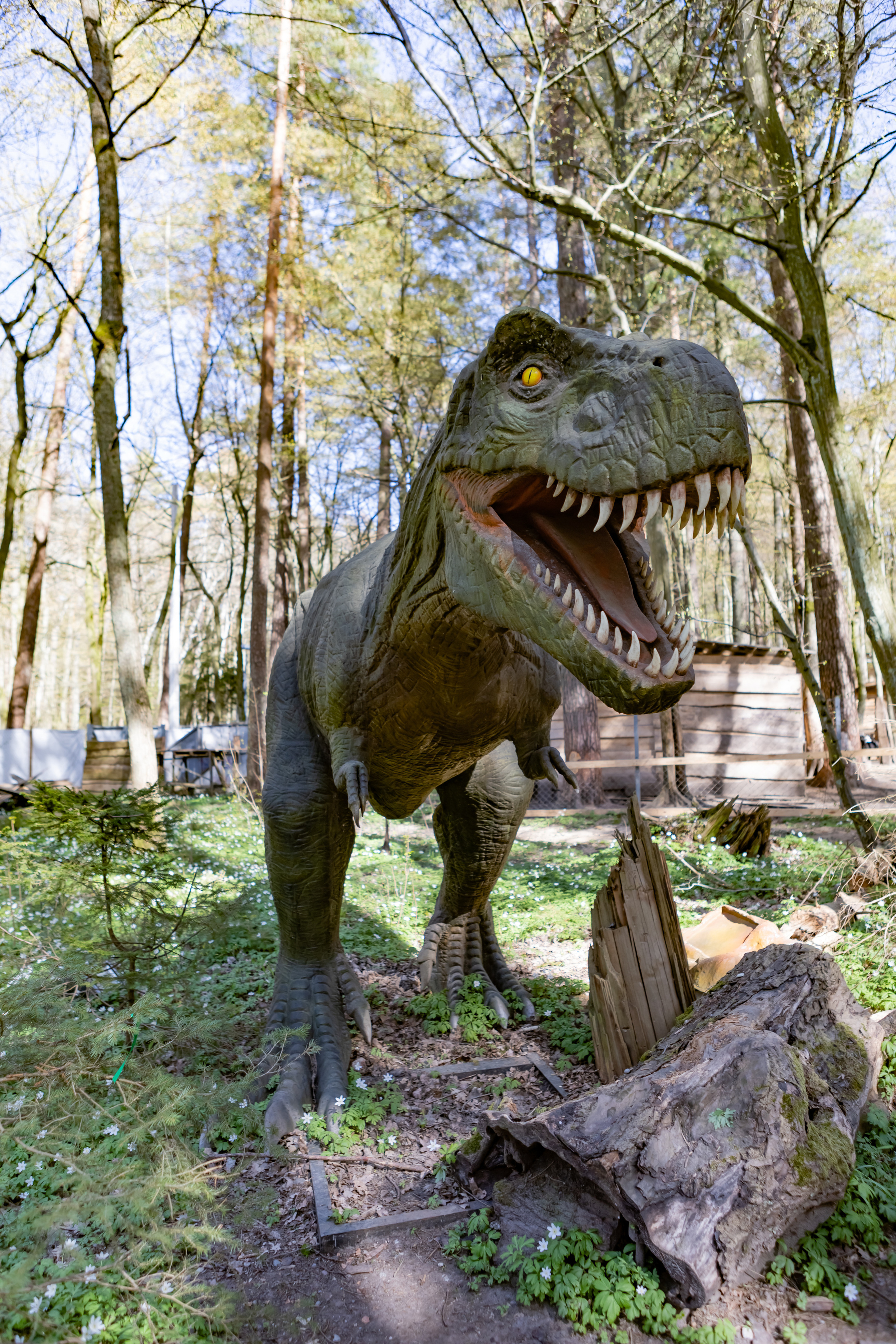 Ландшафтный парк Калининграда. AI-контент (генерации ИИ-фото и видео), стоковые фотографии Калининградской области