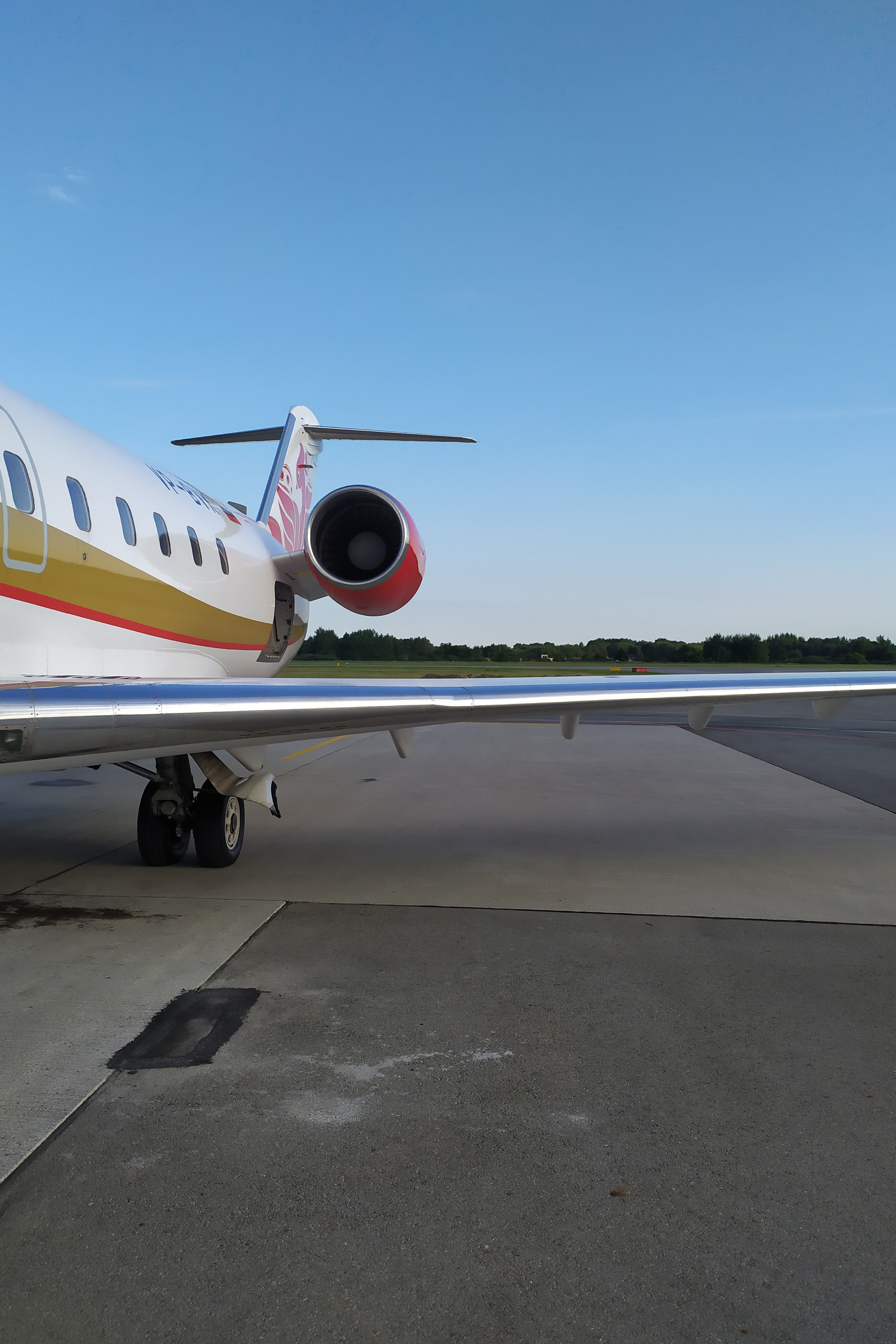 Ландшафтный парк Калининграда. AI-контент (генерации ИИ-фото и видео), стоковые фотографии Калининградской области