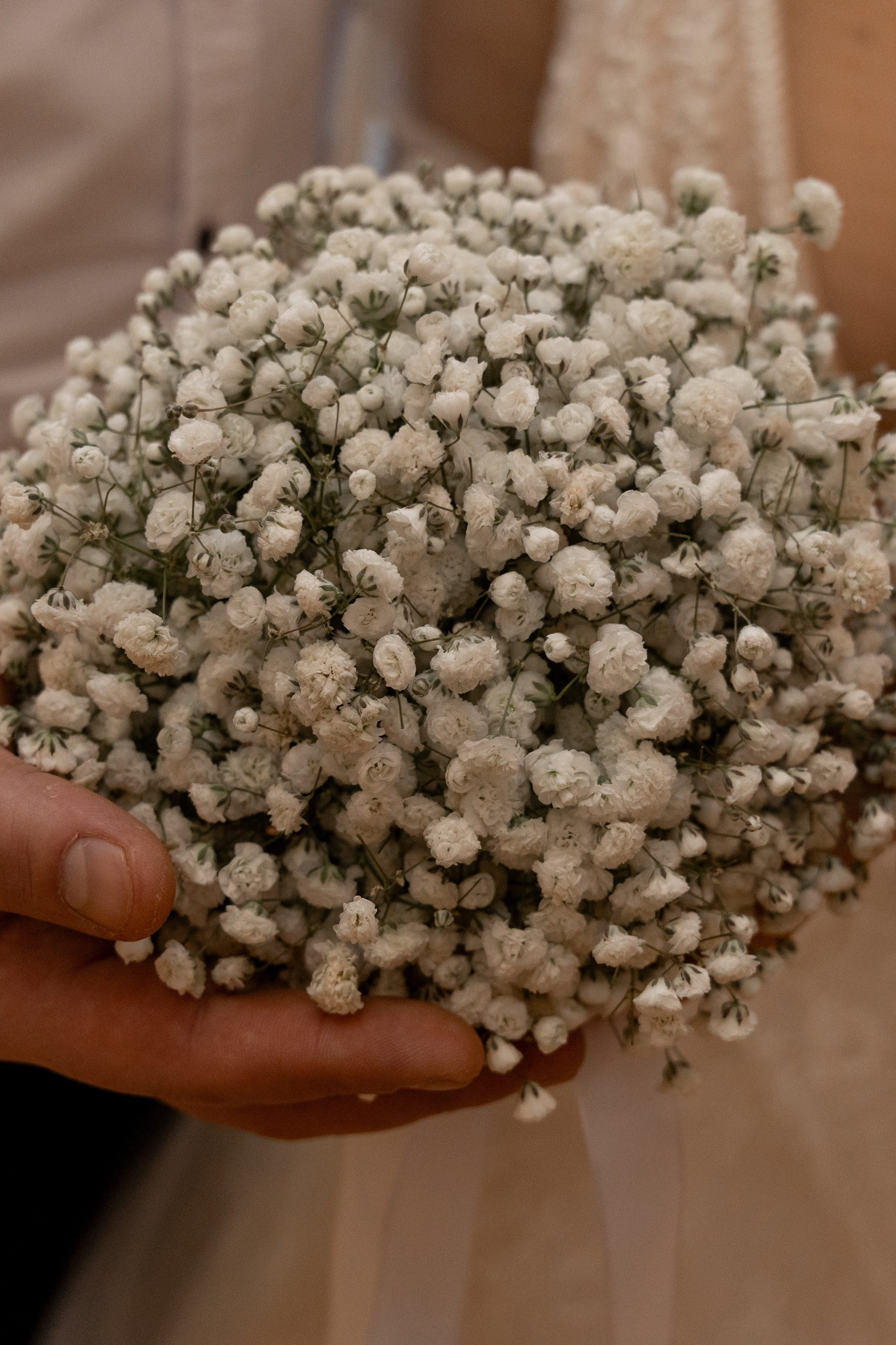 Анонсы. Профессиональный фотограф в Омске Писанкина Анастасия