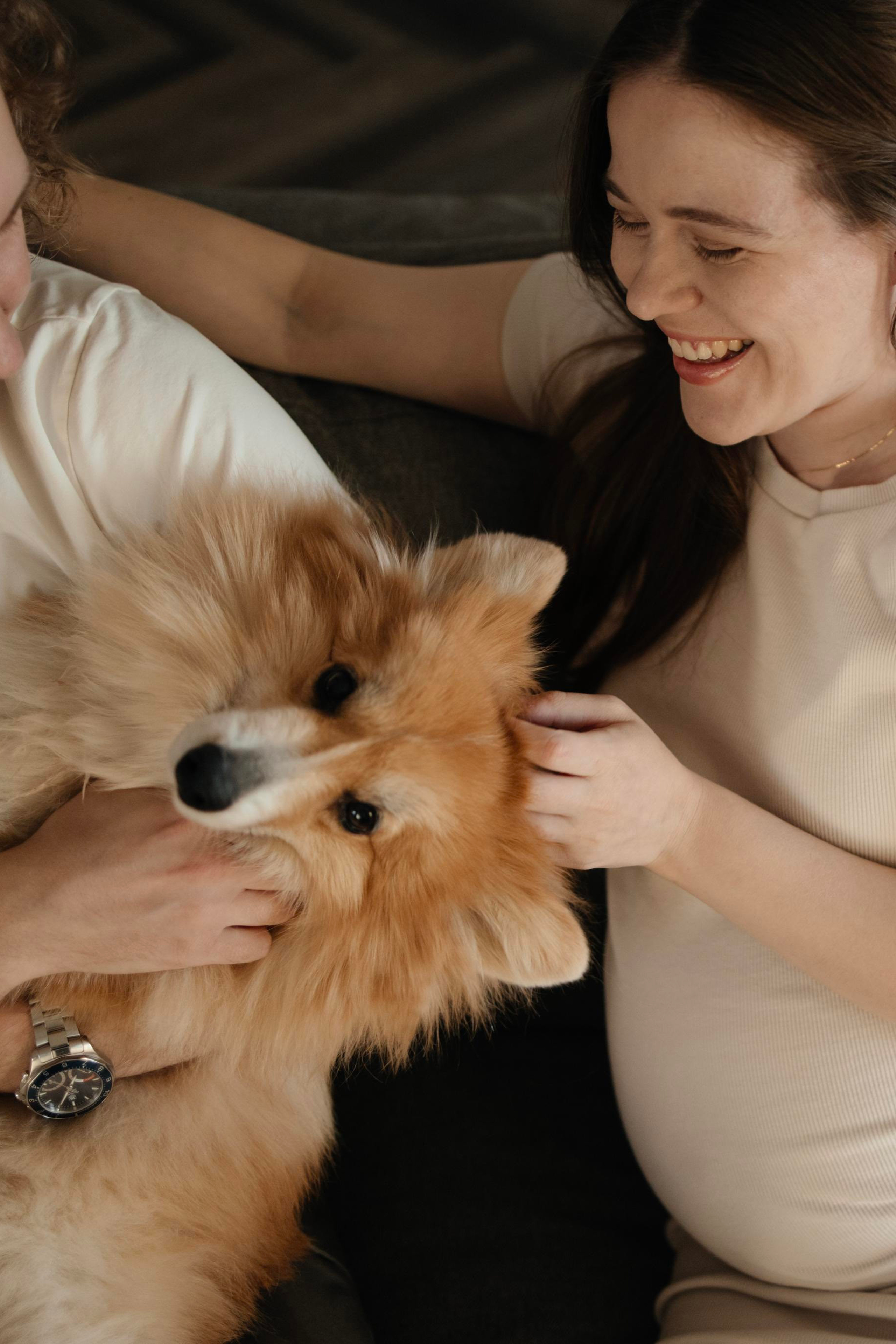 Портфолио. Фотограф в Новосибирске и Москве