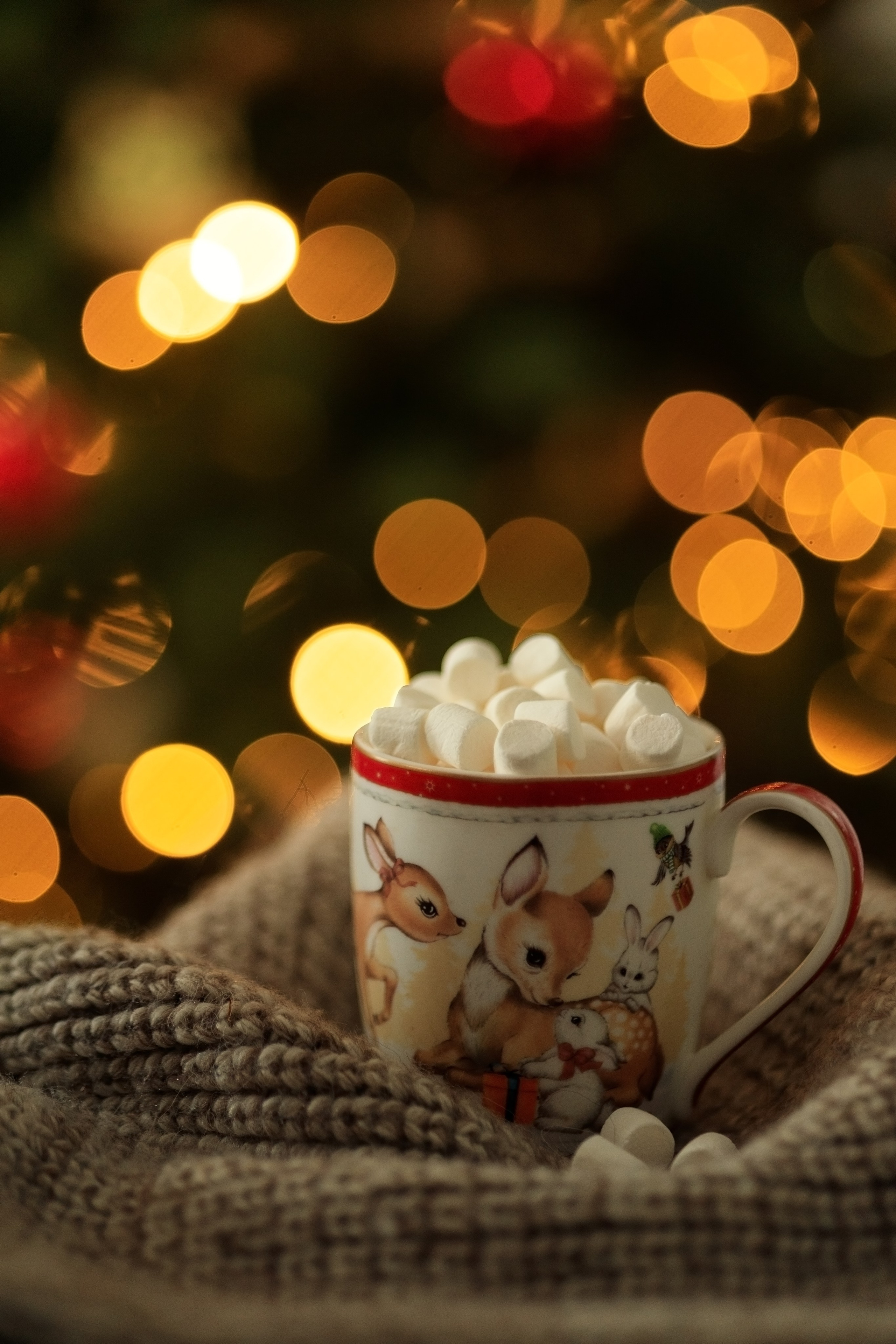 БЛОГ. Семейный фотограф в Калининграде Надежда Гриднева