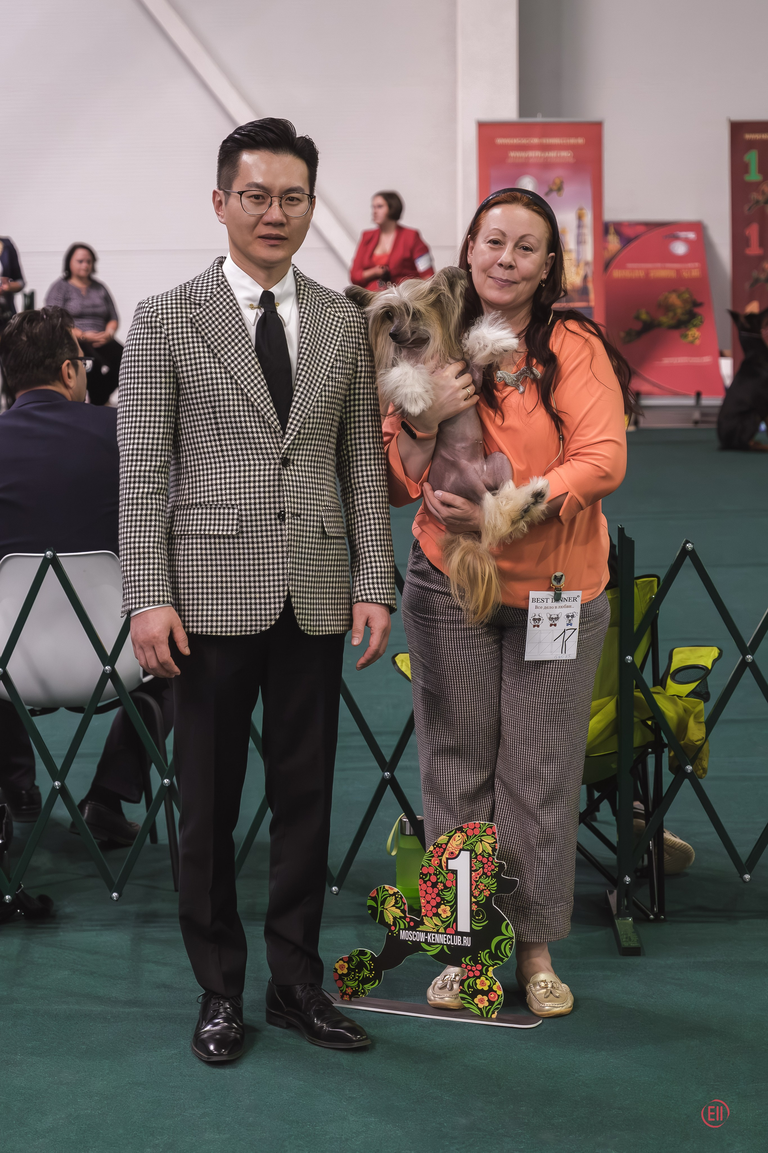 Chester became a dad. Chinese Crested Dog Kennel Poale Ell
