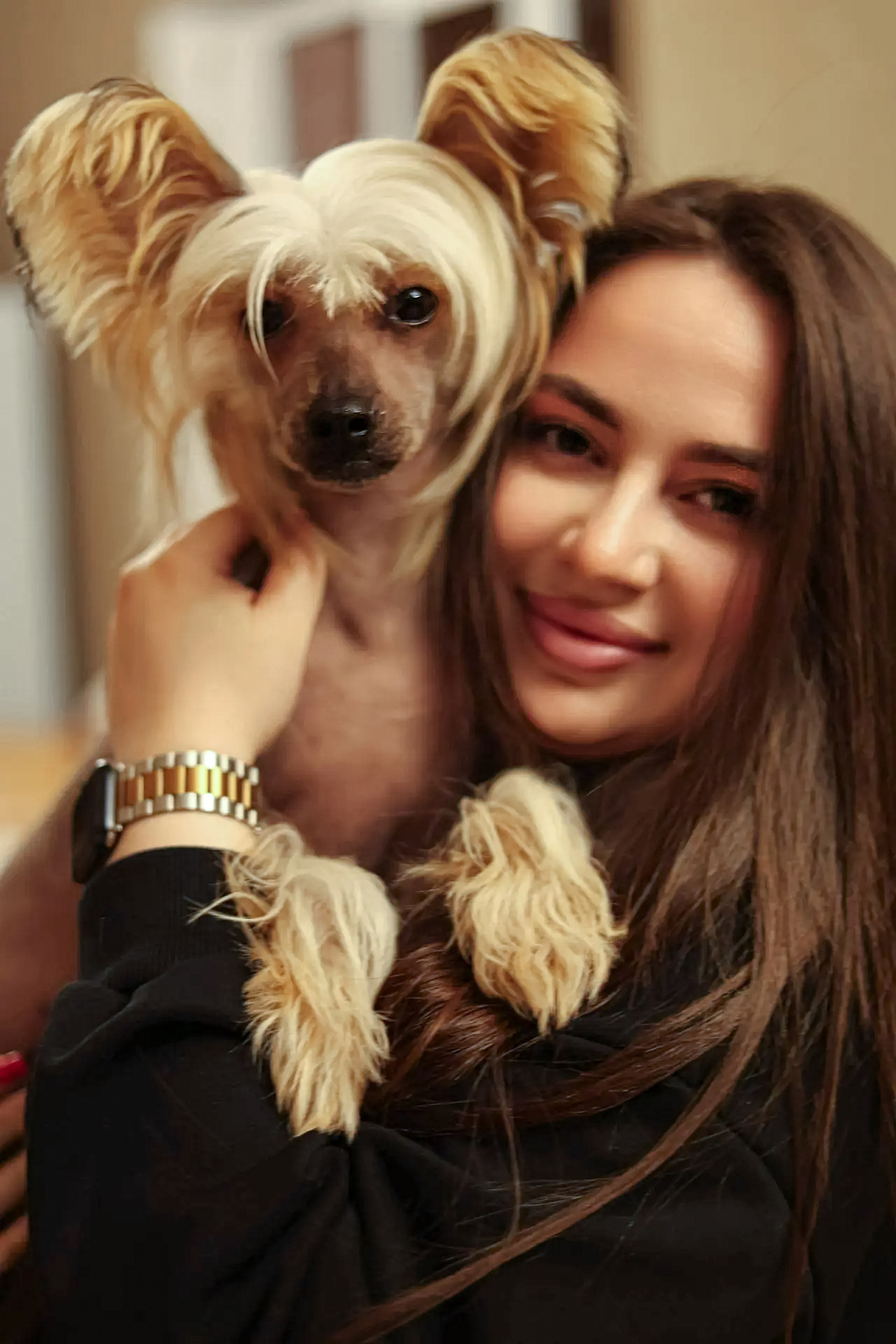 Just in the field. Poale Ell Chinese Crested Dog Kennel: Buy a puppy from the kennel