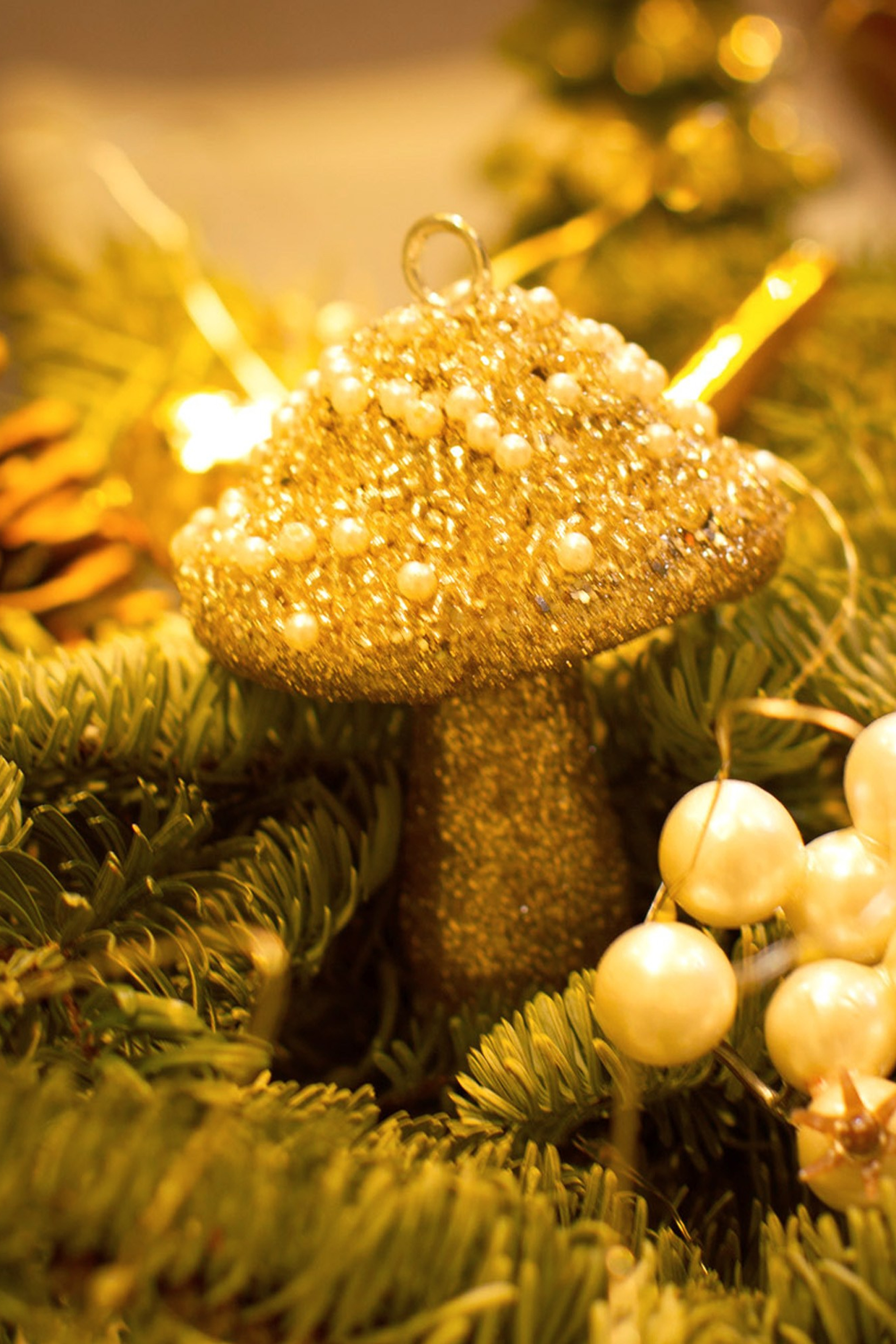 Истории. Школьный фотограф Минск