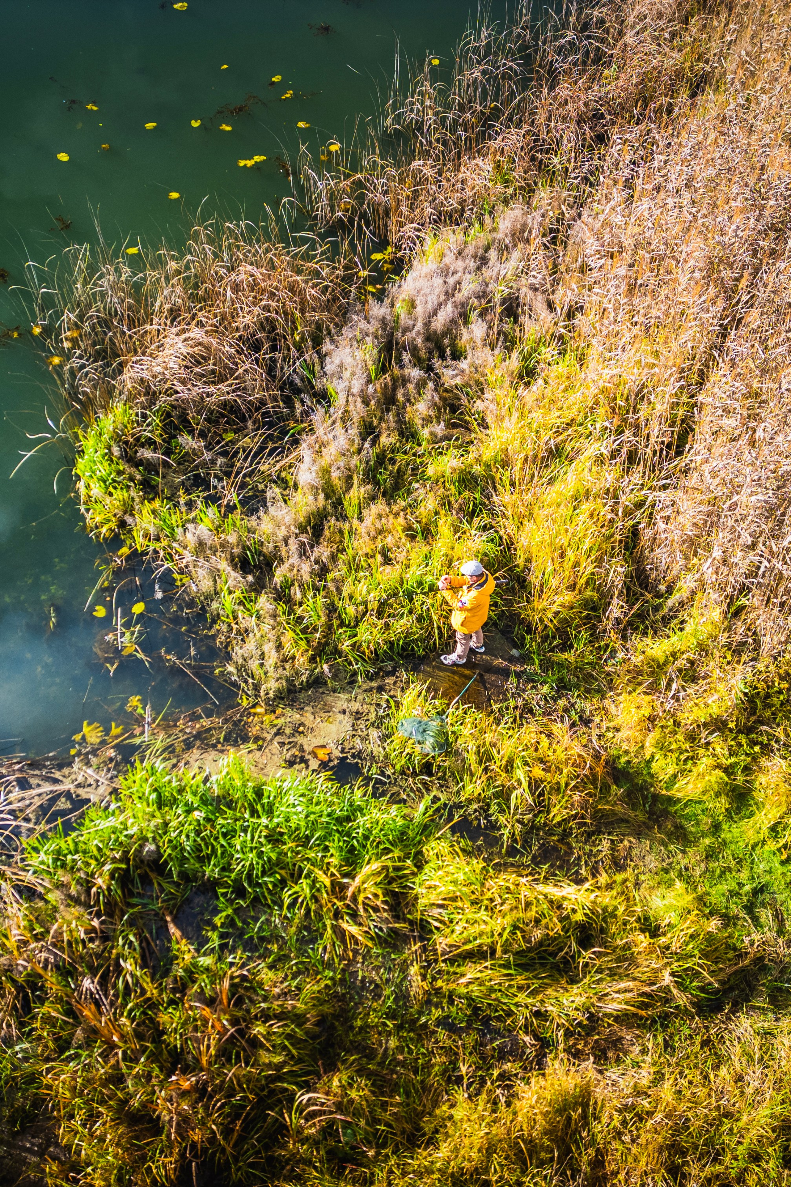 Блог. DRONBERRY — Аэросъемка Ярославль