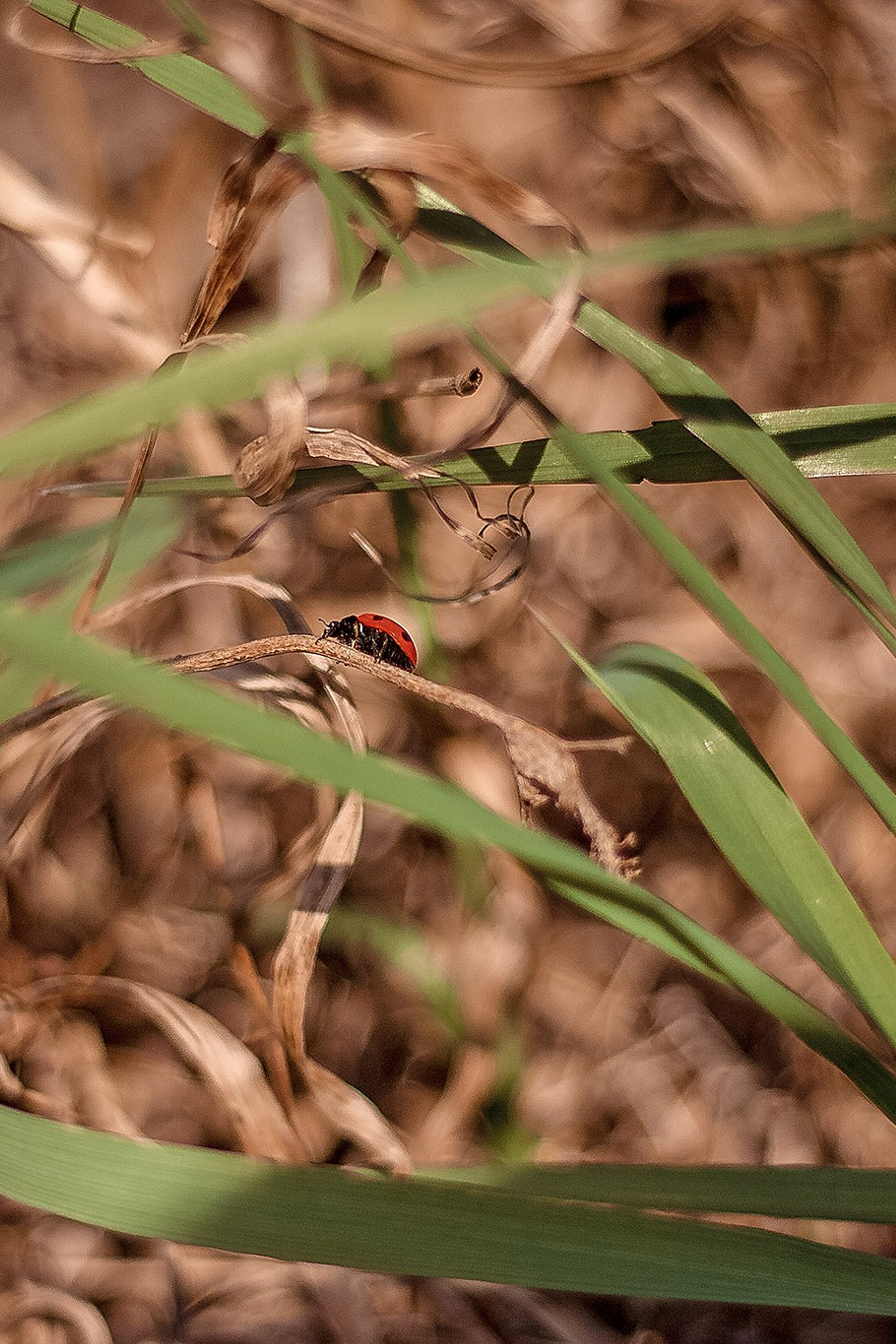 Майские за городом