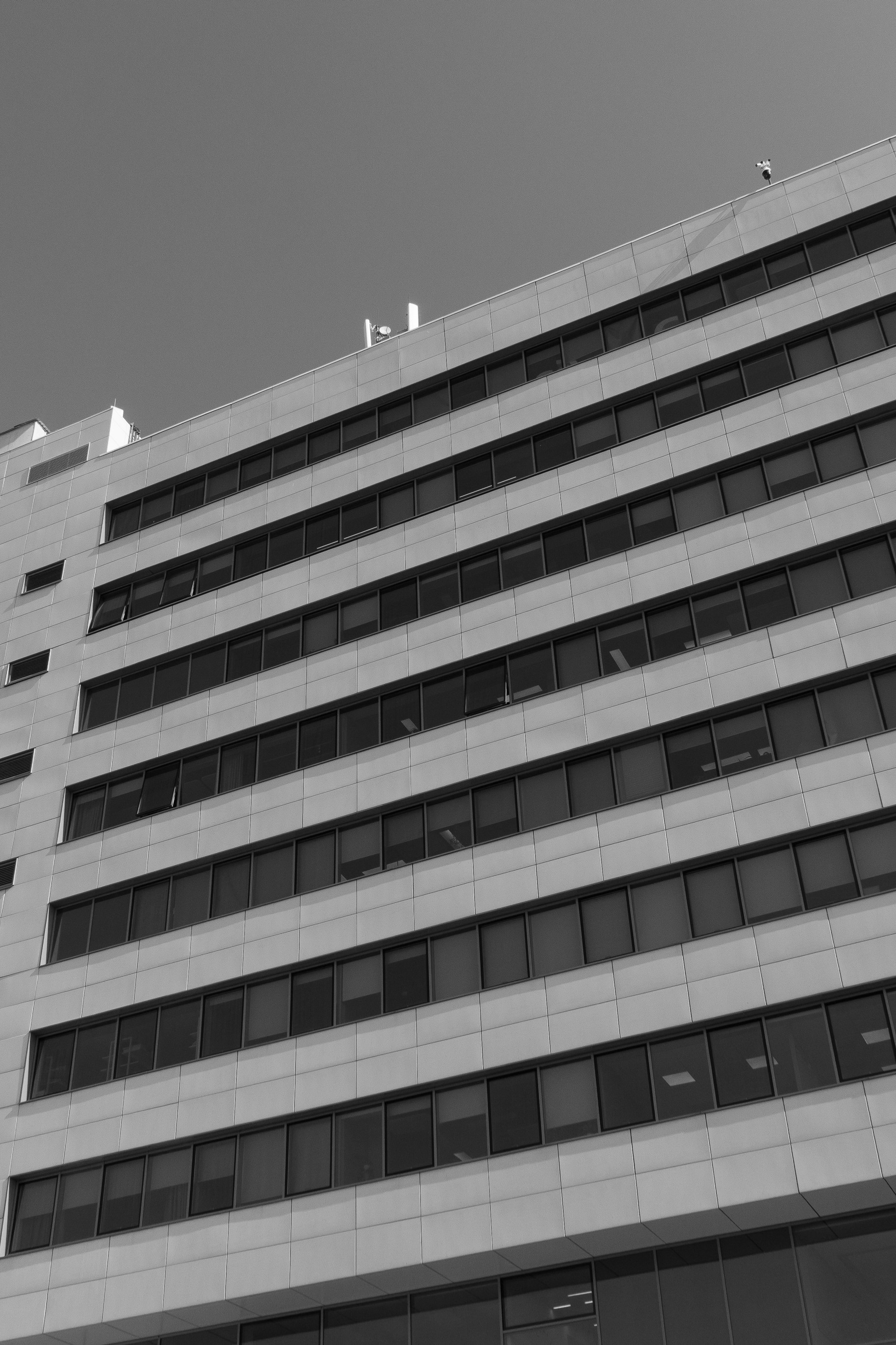 С мастер-класса Никиты Журнакова в Екатеринбурге. Фотограф Евгений Серебряков в Екатеринбурге