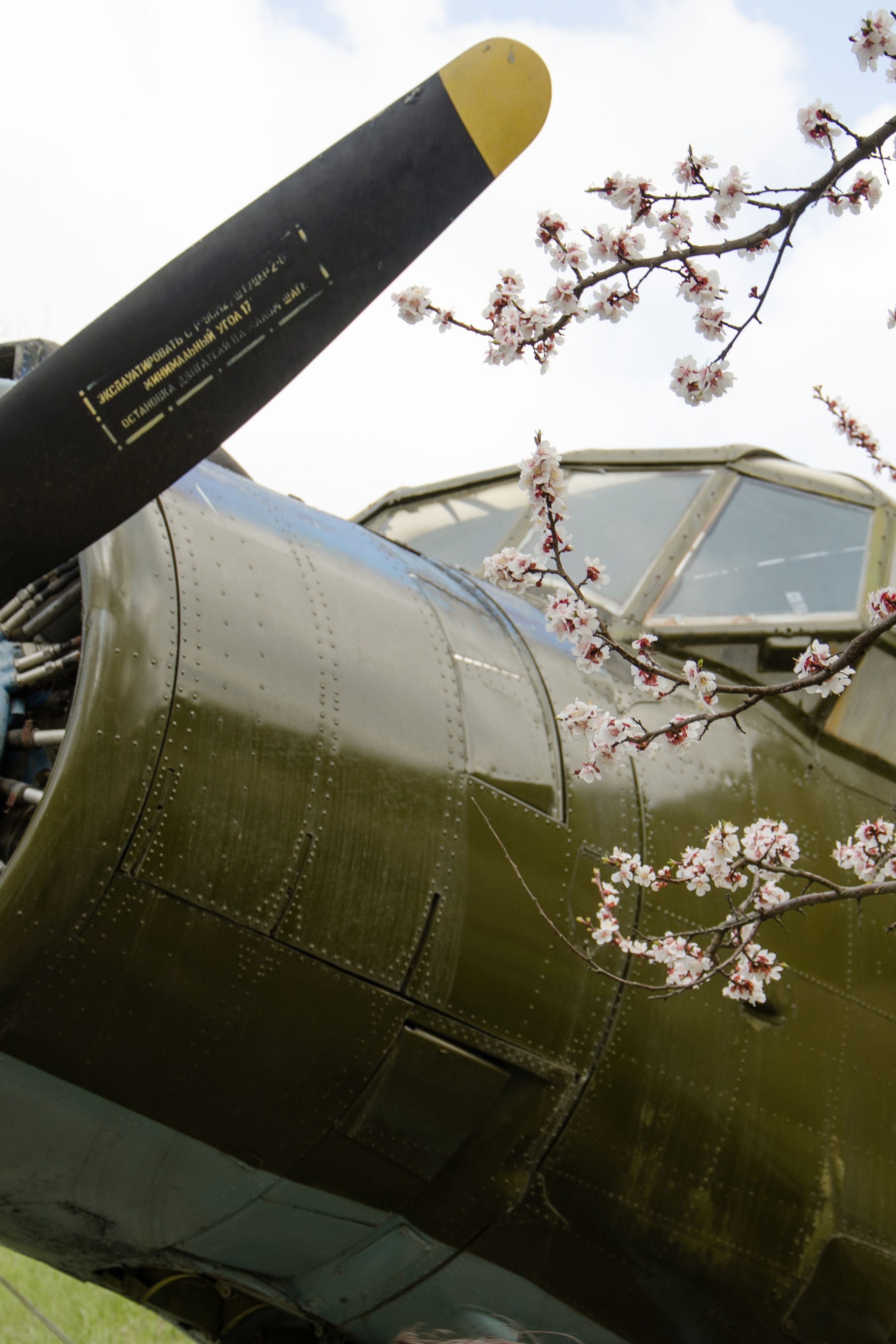 Истории. Фотограф в Ростове-на-дону Анна Рыкова