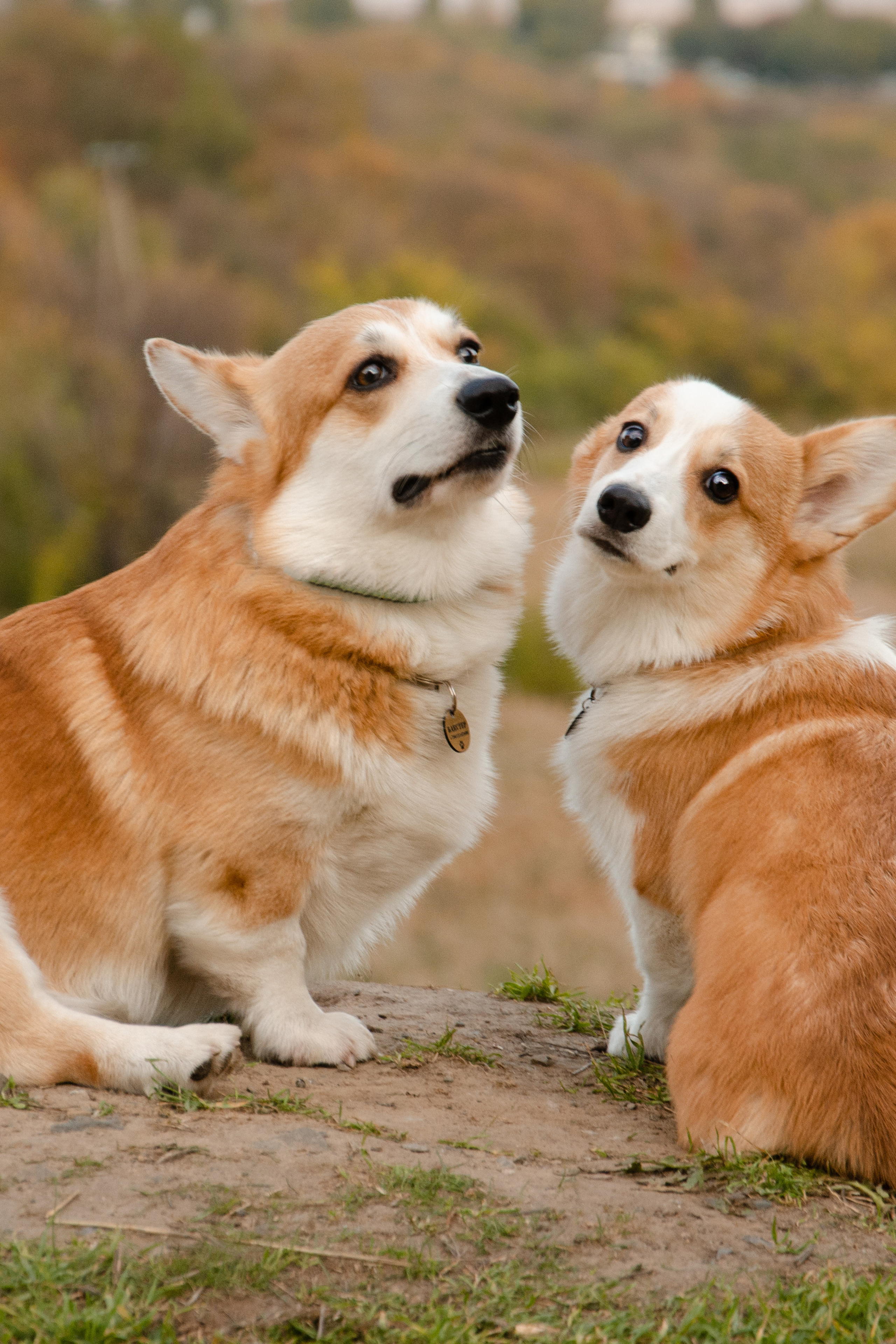 Истории. Фотограф в Ростове-на-дону Анна Рыкова