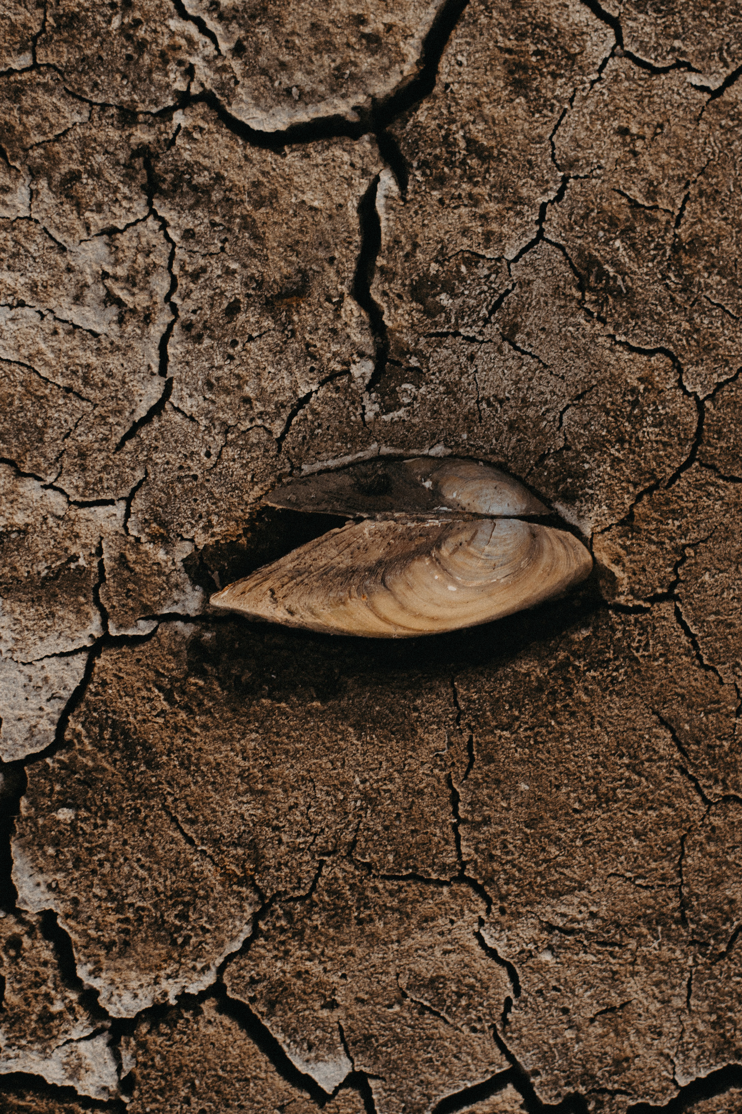 Новый человечек. Главная