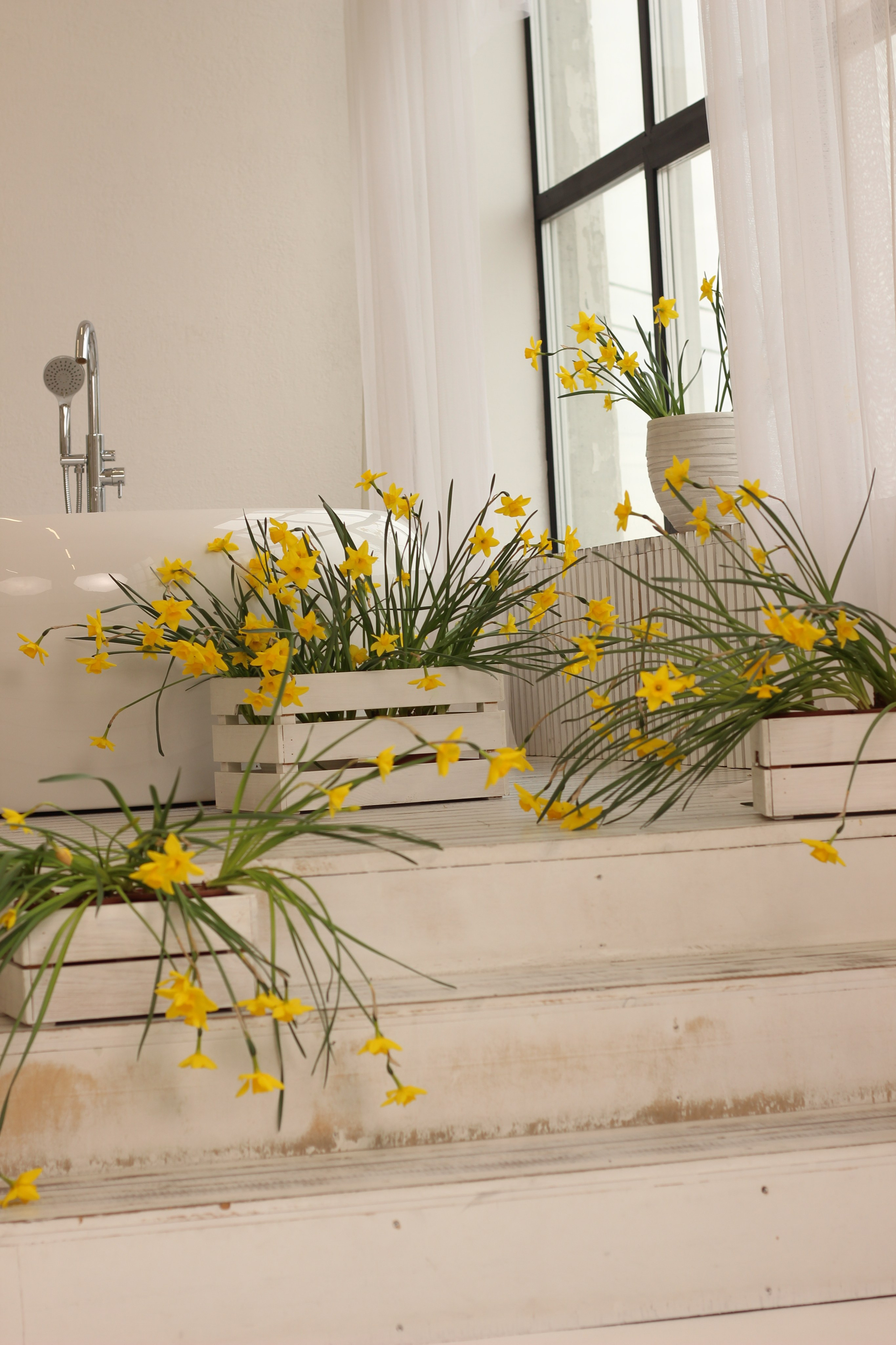 Блог. Фотограф Красноярск