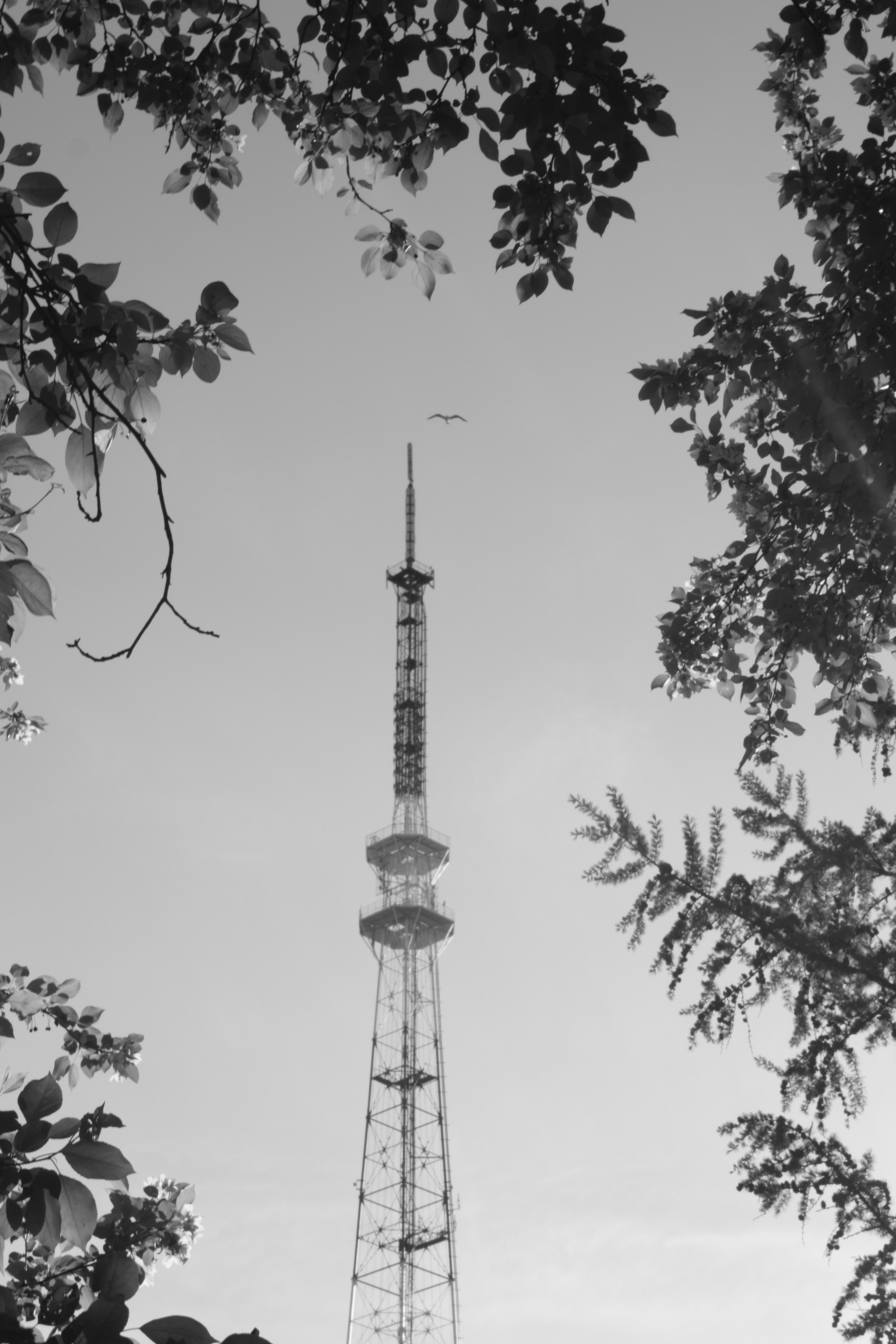 Серии. Фотограф в Омске Ульяна Красикова