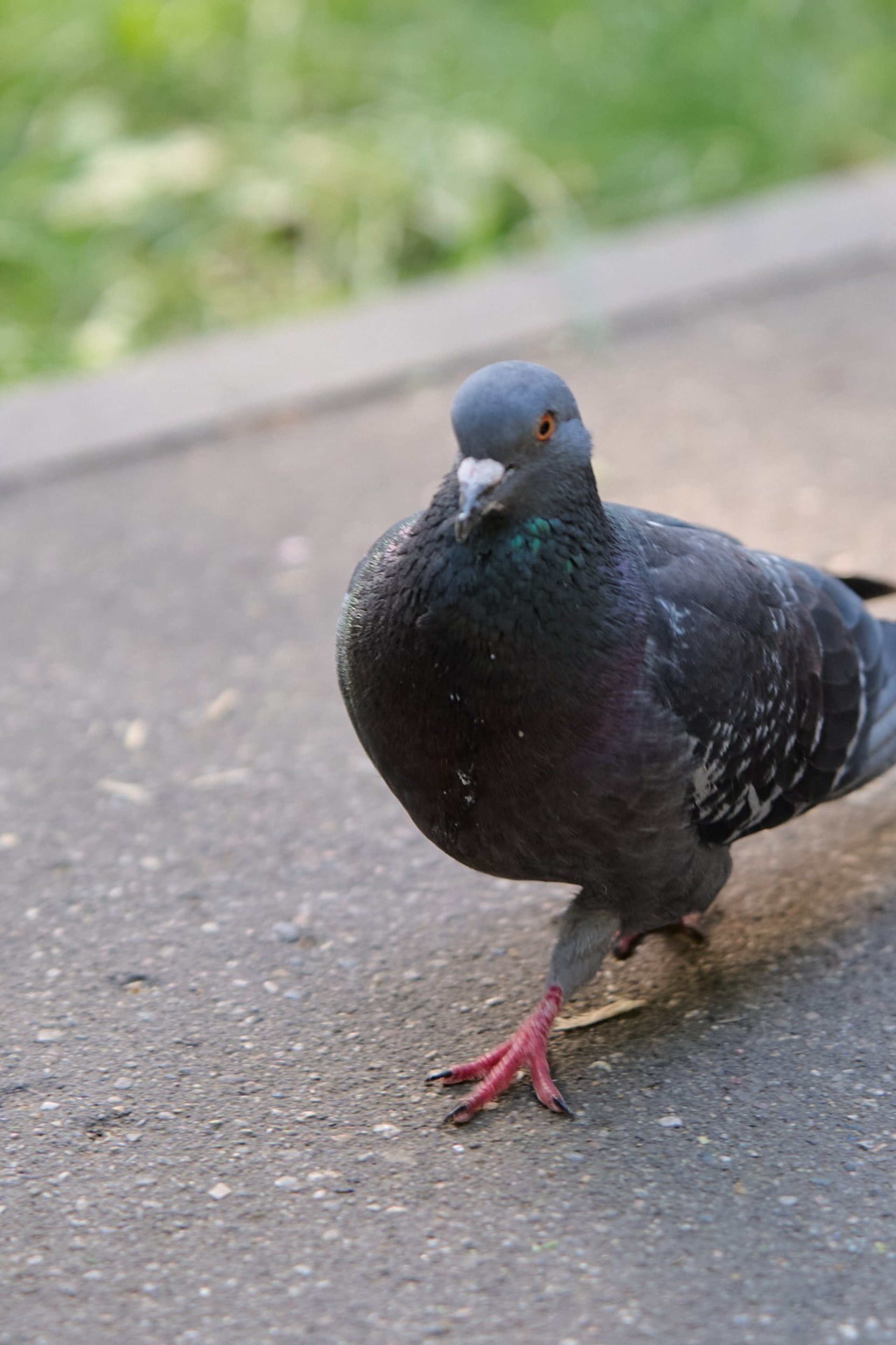 Фотоотчеты с мероприятий и праздников город Иваново. Фотограф в Иваново: Каталожная съемка одежды и постельного белья, Wildberries