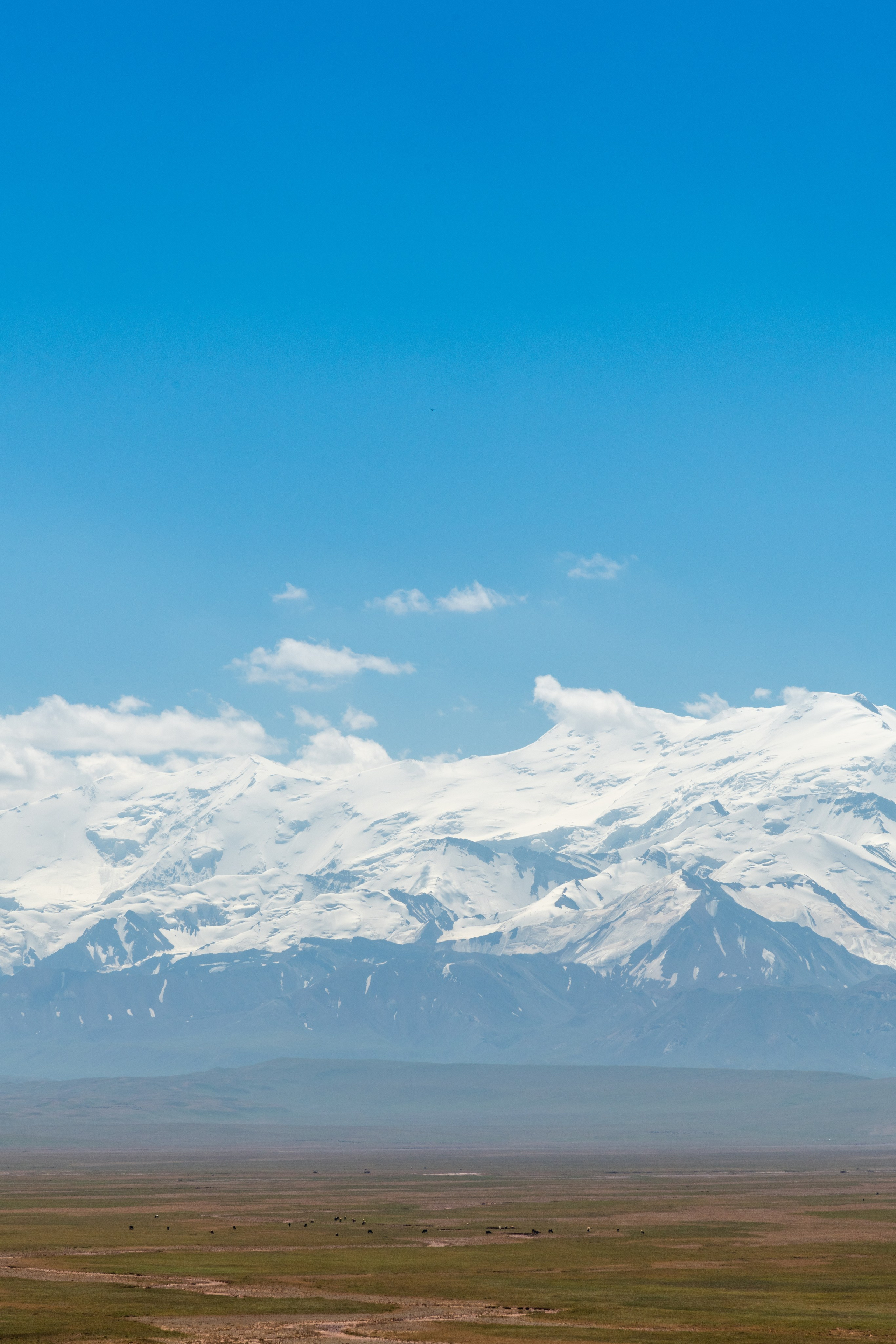 Рекордер для съёмок и подкастов: как я использую | Роман Свободный. Роман Свободный — интерьерная и архитектурная съёмка, Москва и МО