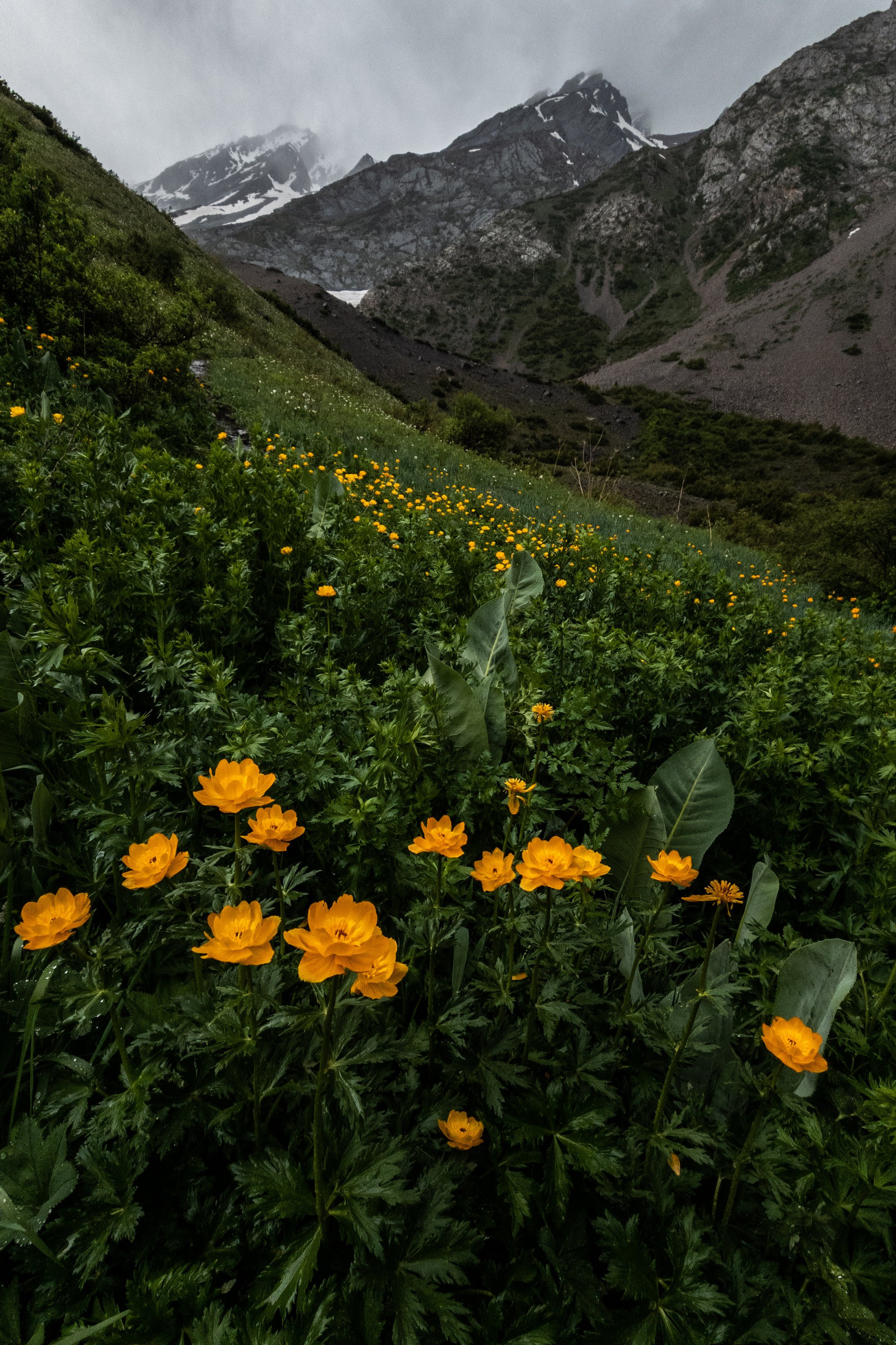 Экспедиции NatGeo Qaz. Свадебный и Студийный фотограф из Казахстана Артем Орлянский