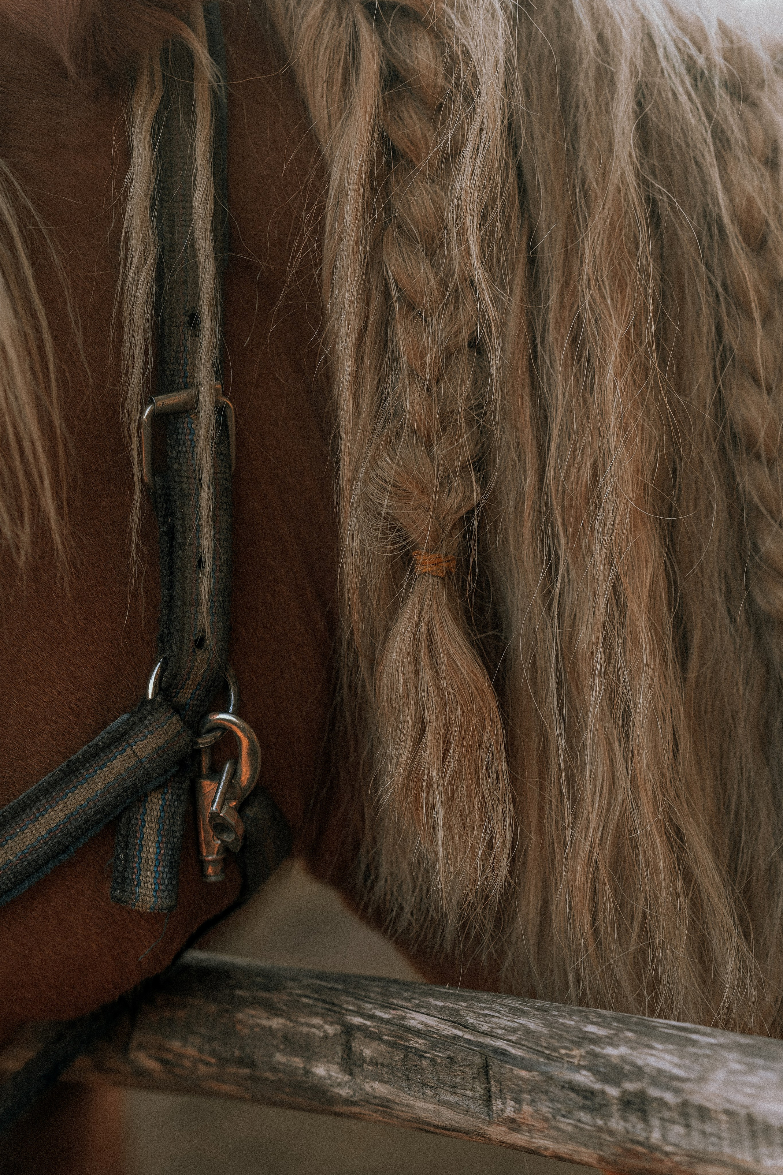 Серии снимков, сделанные в путешествиях. Юля Дэй • Фотограф, Санкт-Петербург