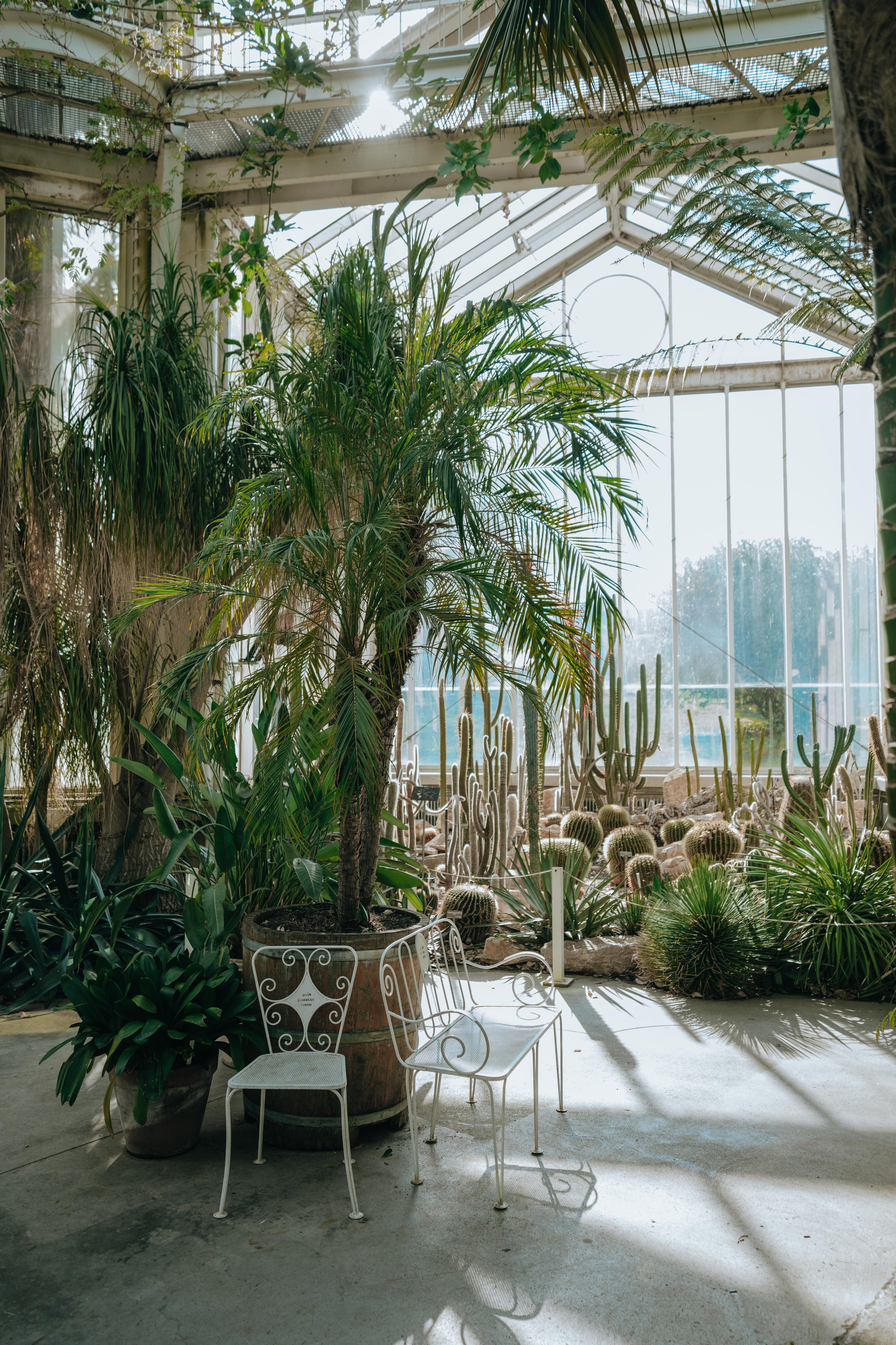 How to choose a wedding photographer?. Professional Wedding Photographer Geneva & Romande Switzerland | Tanya Creator