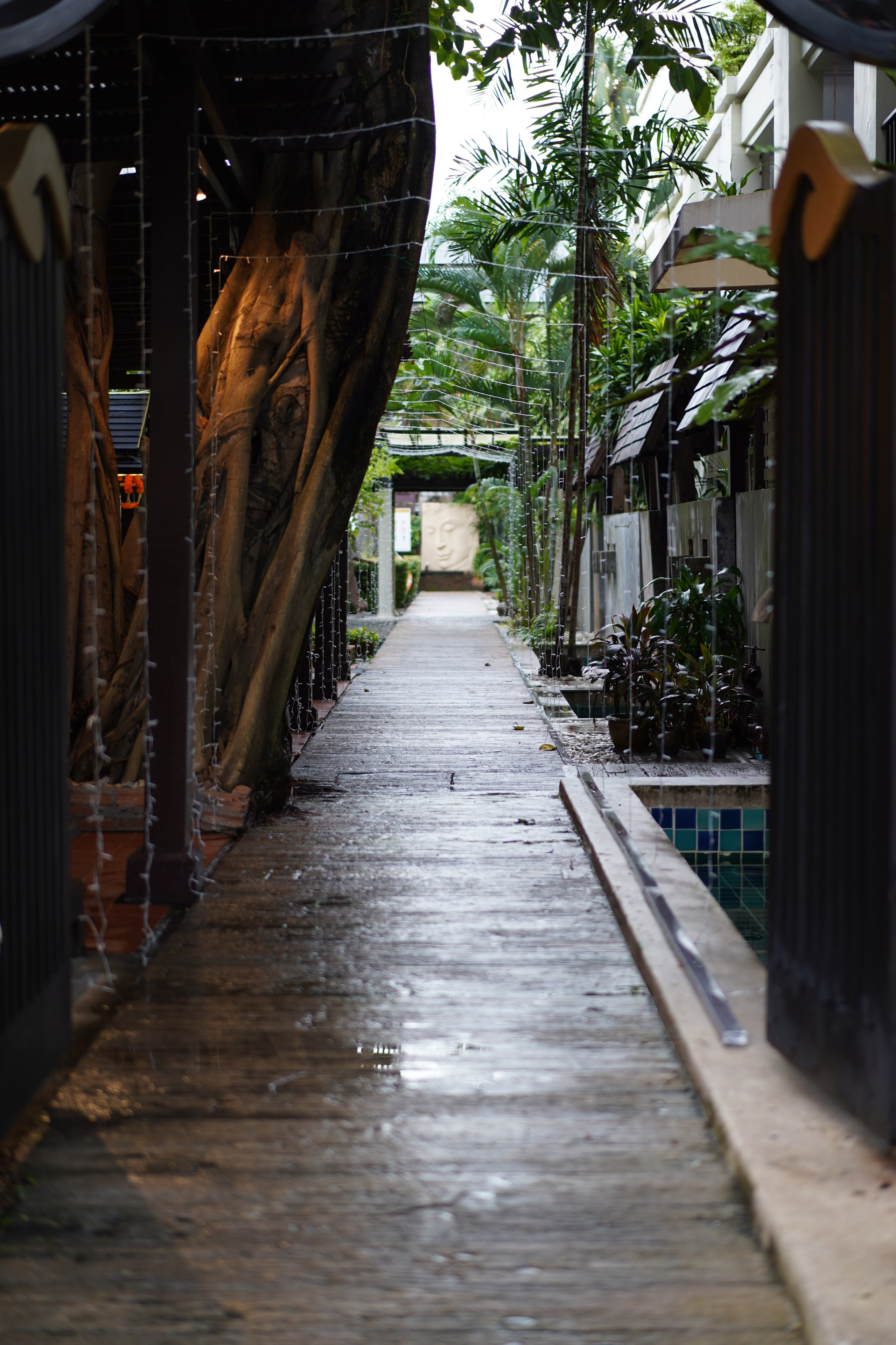 Burasari 4*, Патонг. Турагенство Амалфи Тур