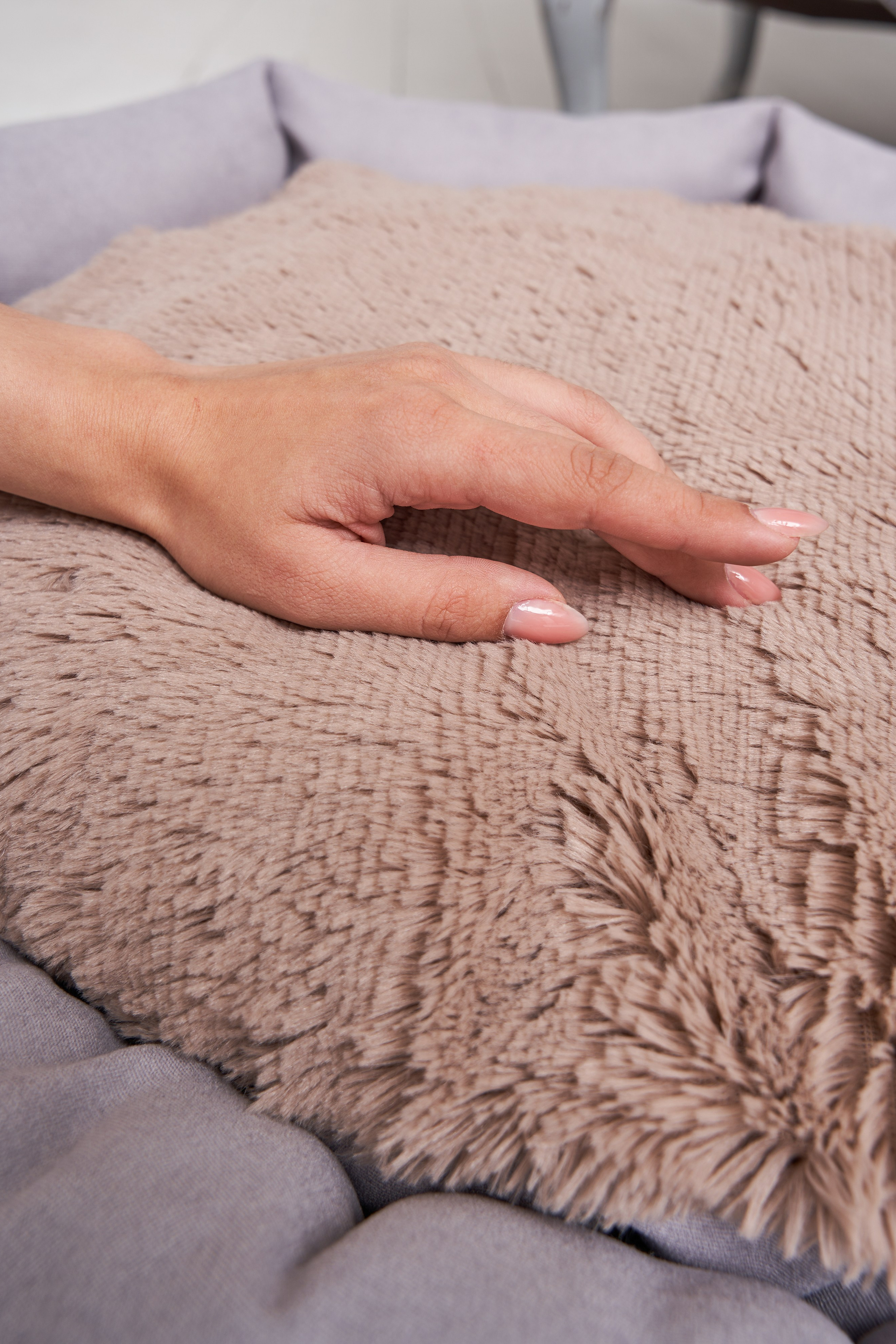 Качественная фотосъемка лежанок для комфорта ваших животных