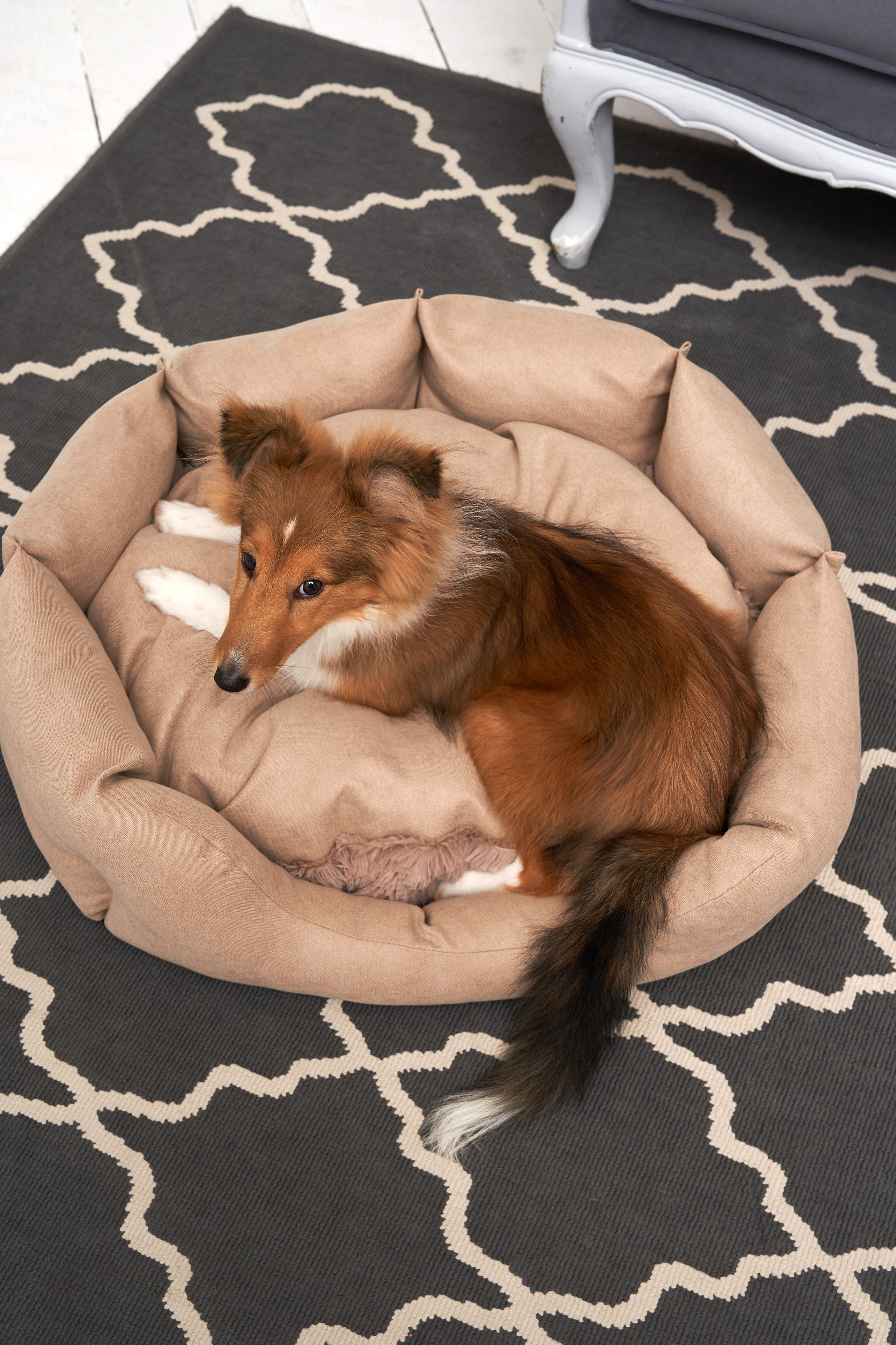 Точные фотографии мягких лежанок для питомцев