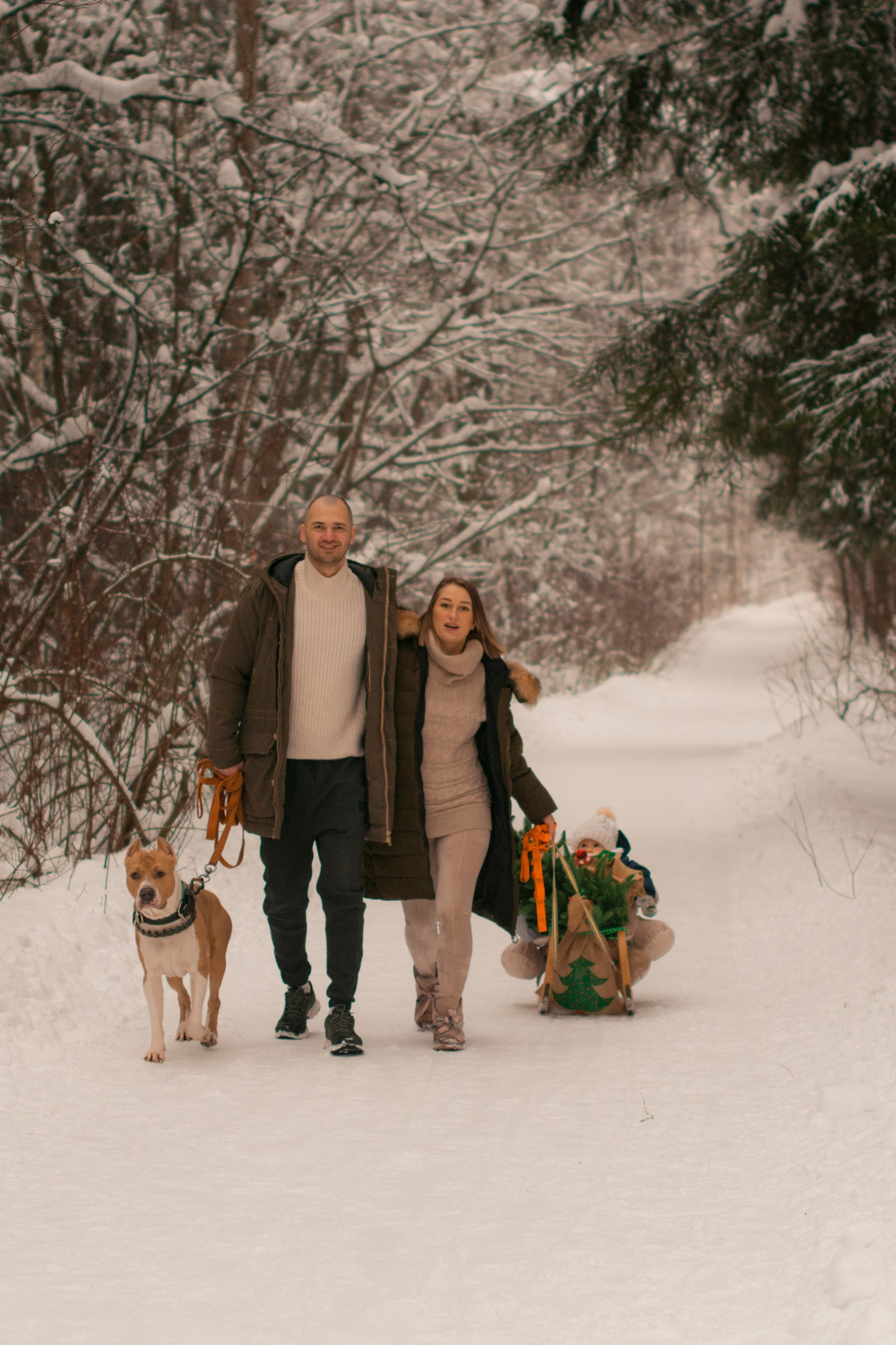 Анонсы фотосессий. Фотосессия беременности — Крылова Натали — Москва