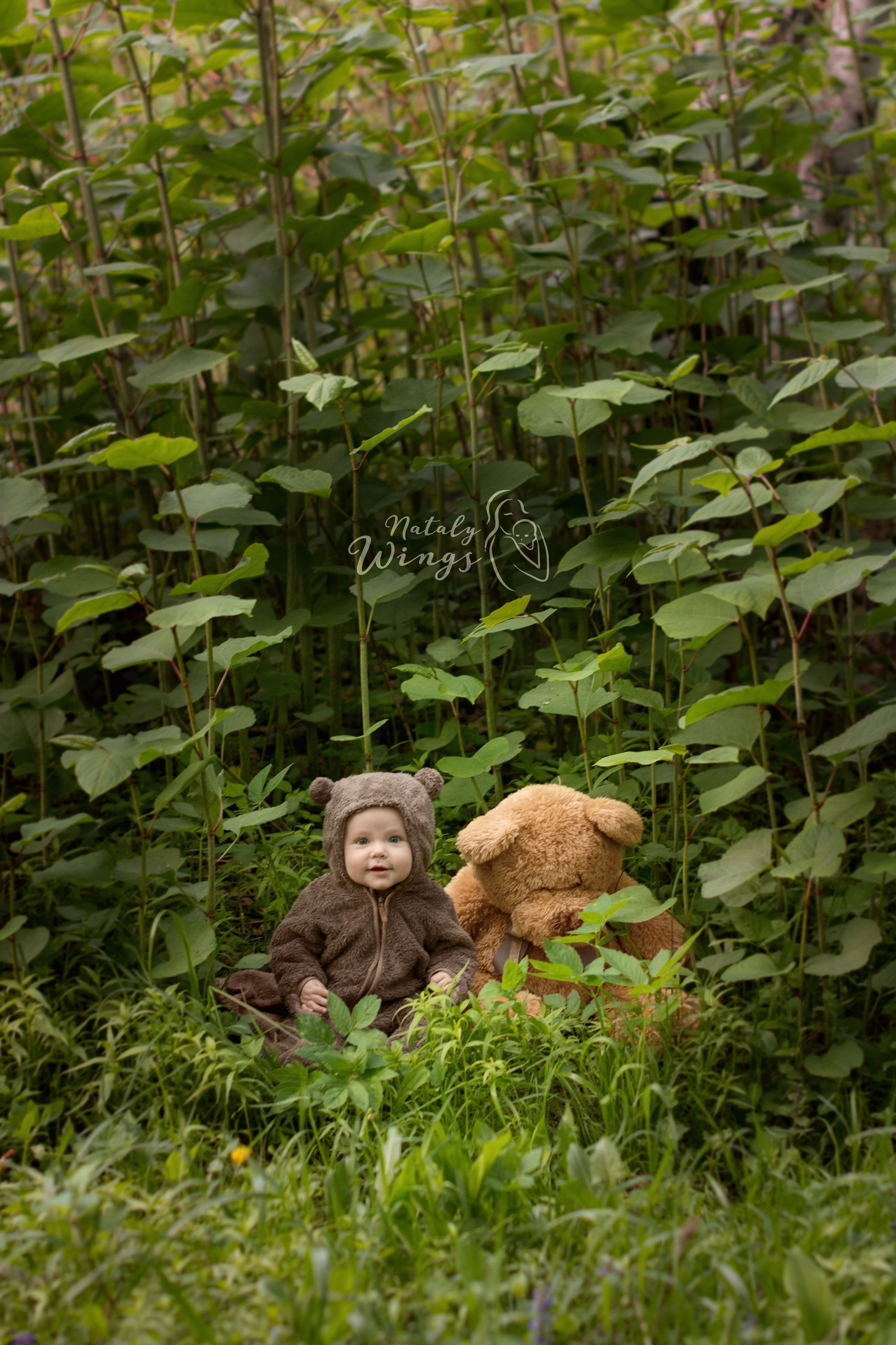 Анонсы фотосессий. Фотосессия беременности — Крылова Натали — Москва