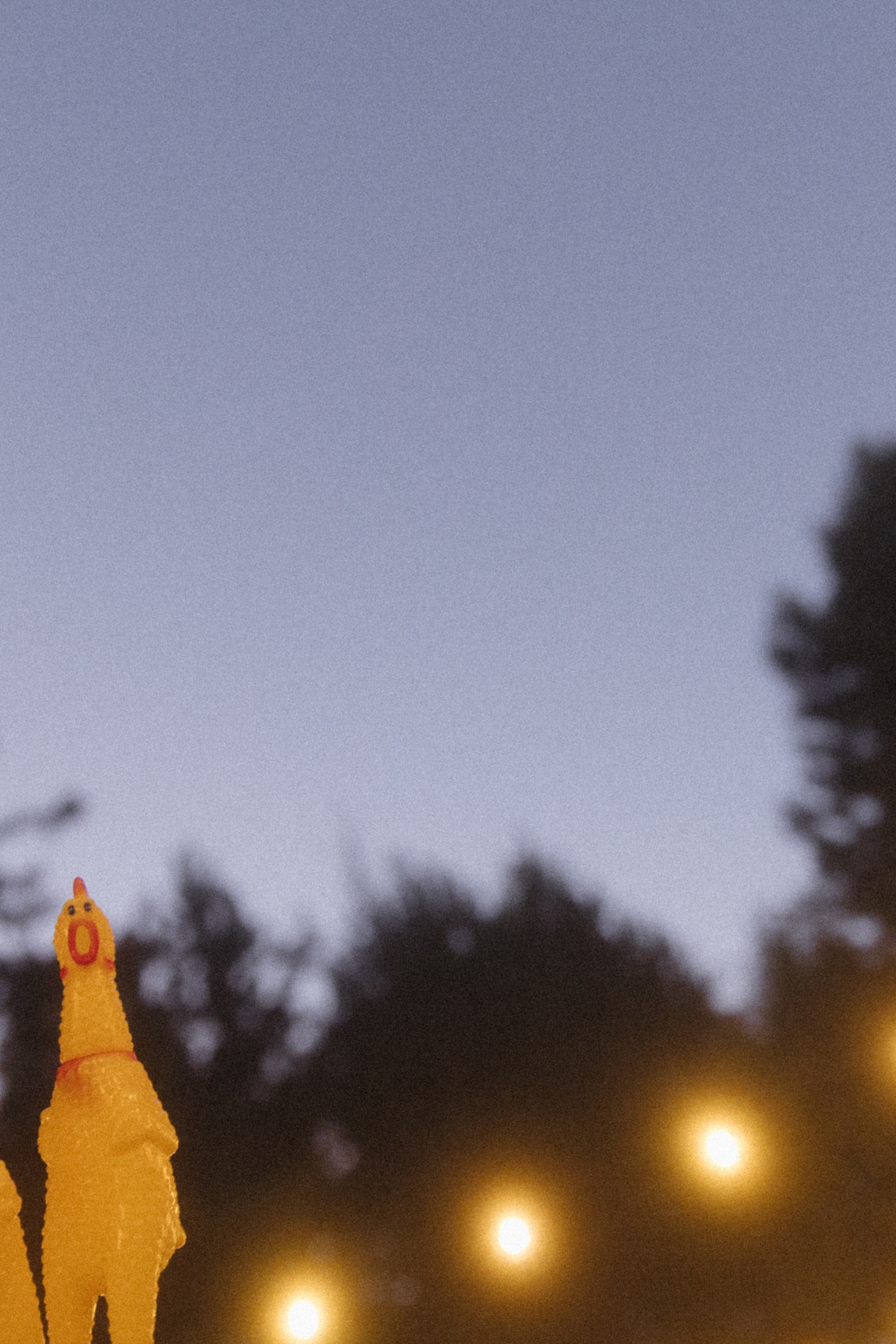 Подарочные сертификаты на Love Story или Family history. Свадебный фотограф Колесников Антон