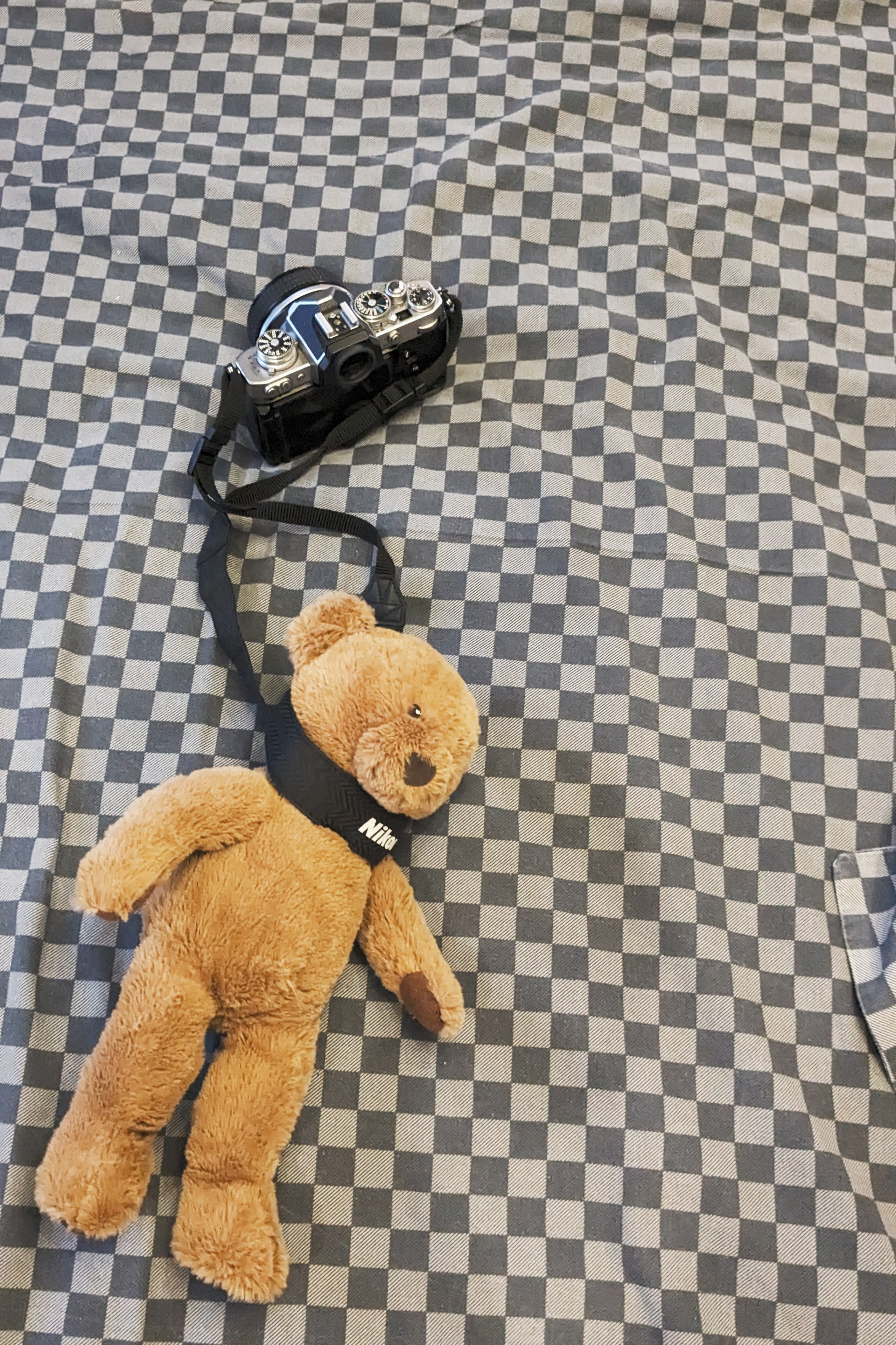 Для тебя. Фотограф Дарья Мустафина, Тюмень