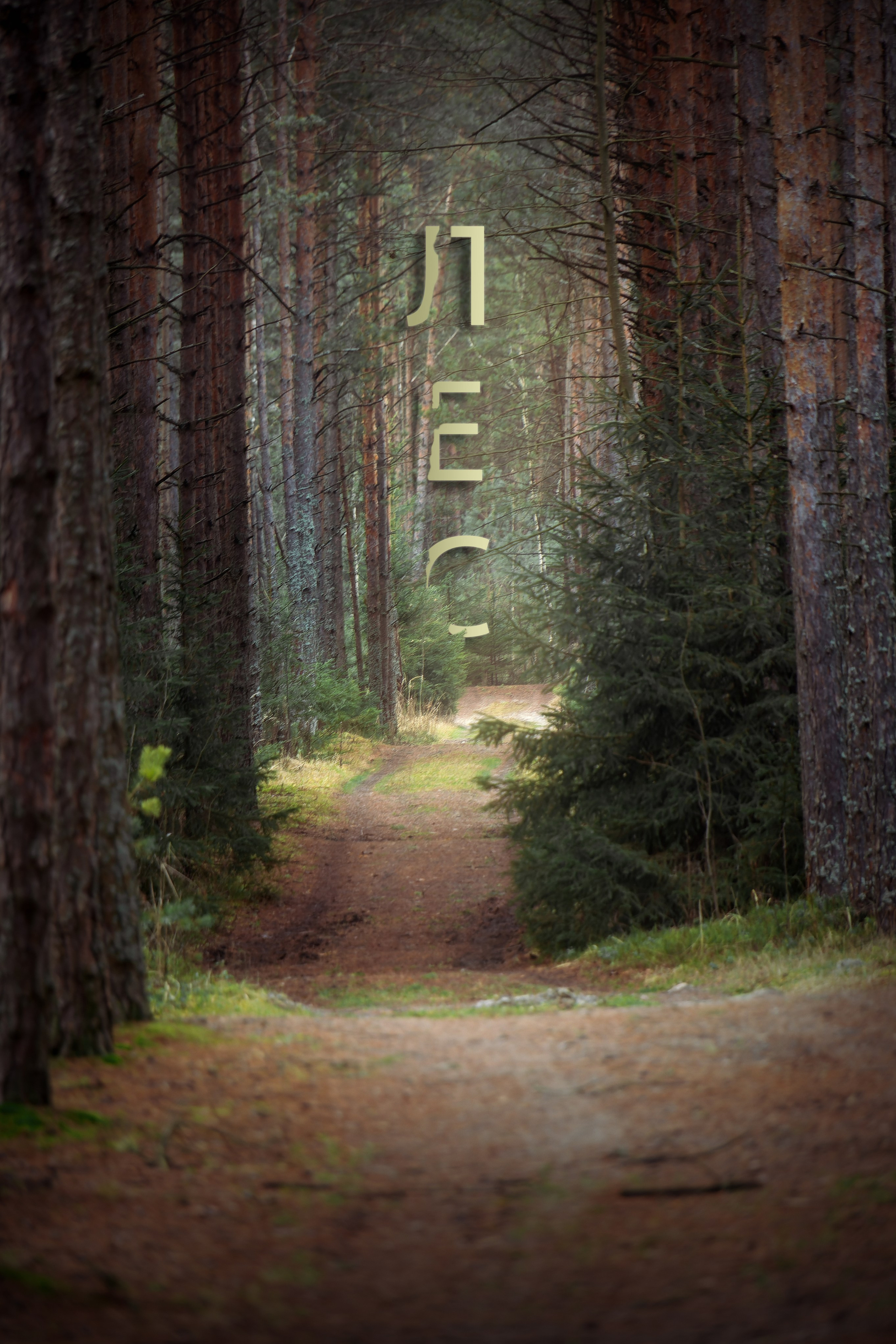 Как проходит фотосессия