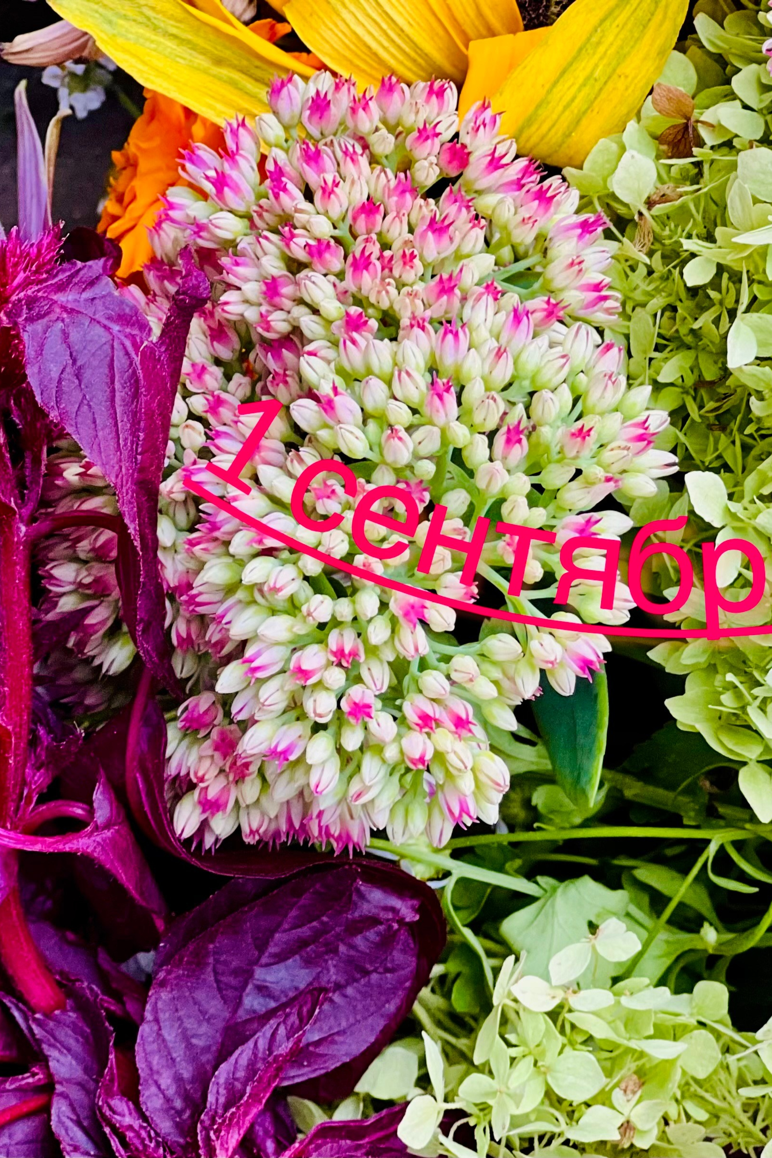 Истории съёмок. Свадебный и семейный фотограф-Королева Натали/Раменское-Жуковский-Москва/тел.+7 (985) 153-75-43