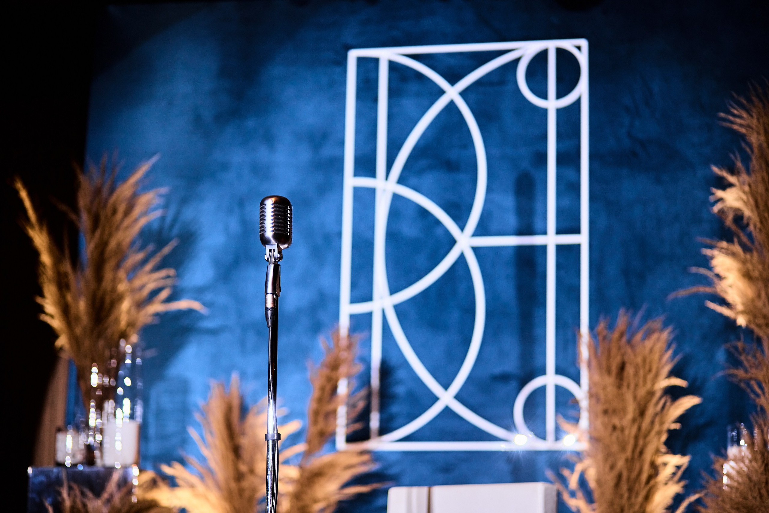 Камерное мероприятие: лучший фотограф на камерные мероприятия в Москве