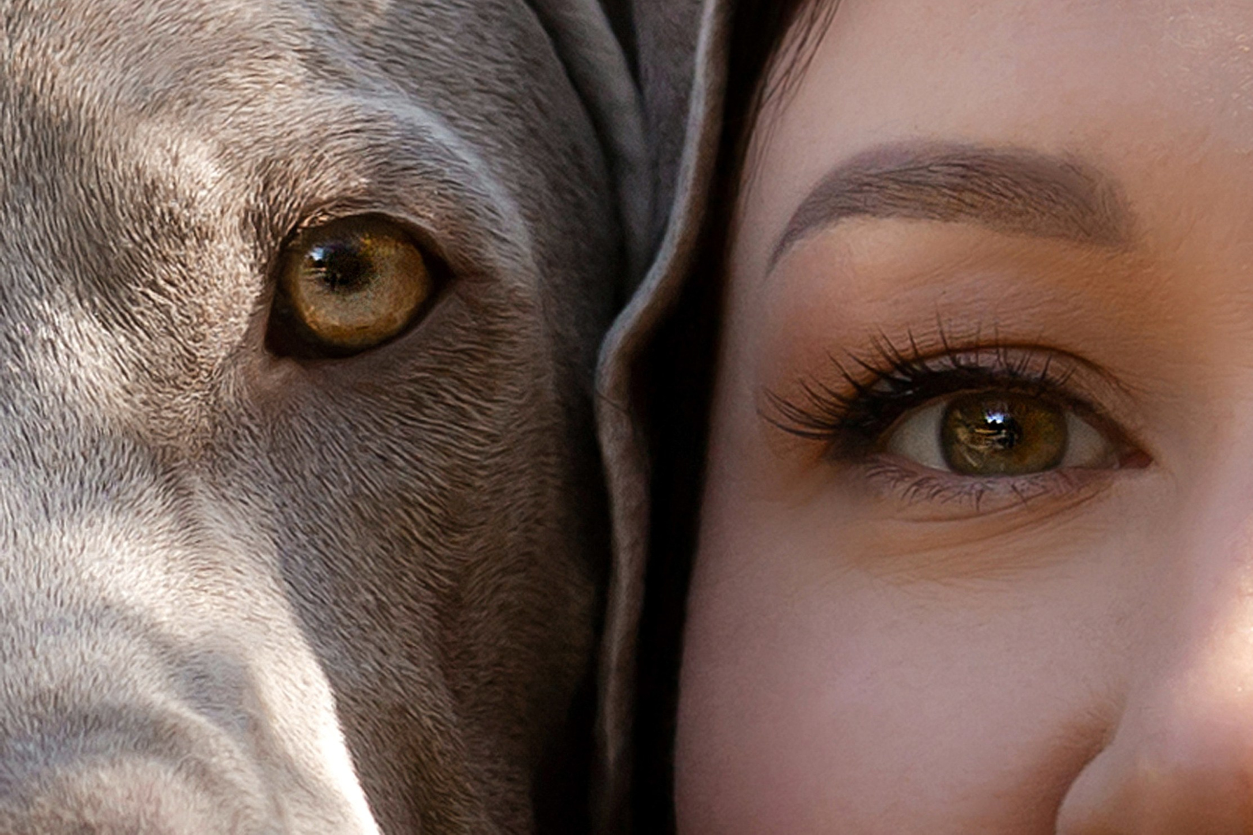 Родственные души