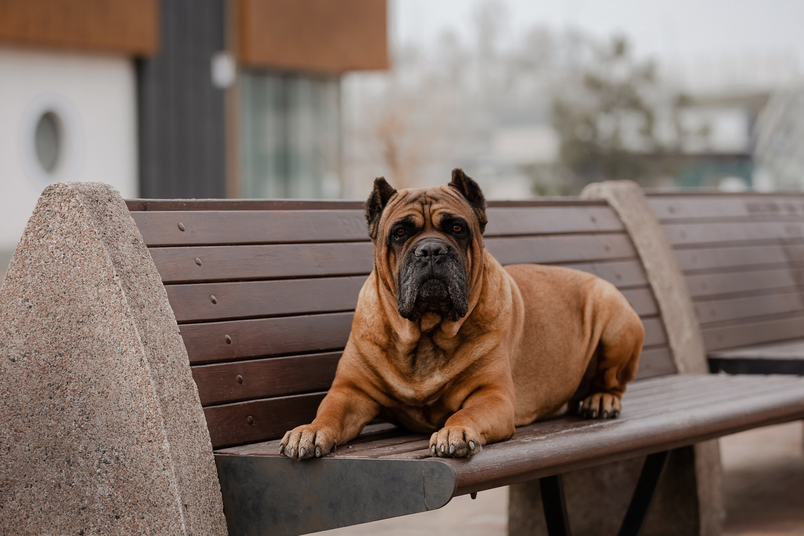 Яхонтовый ты мой