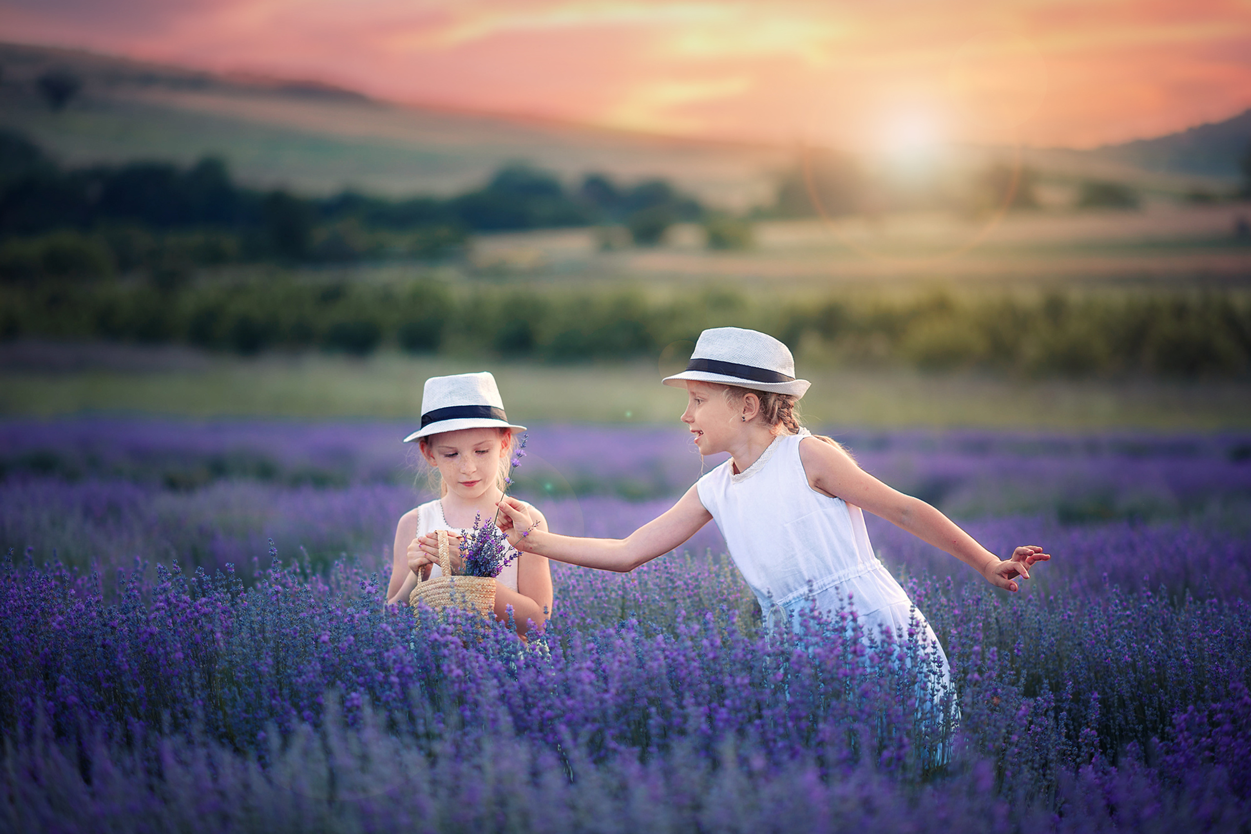 Лаванда Болгария