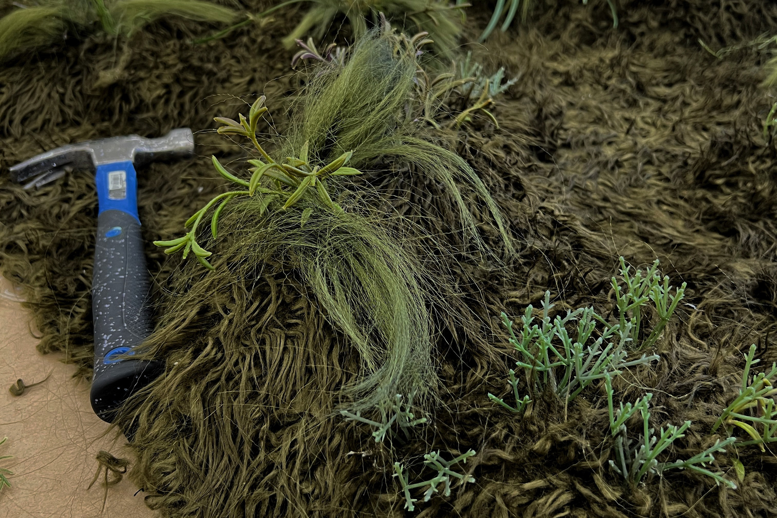 «Гроза» театральное объединение «Озеро». История занавеса. Превращаем идею в технологию