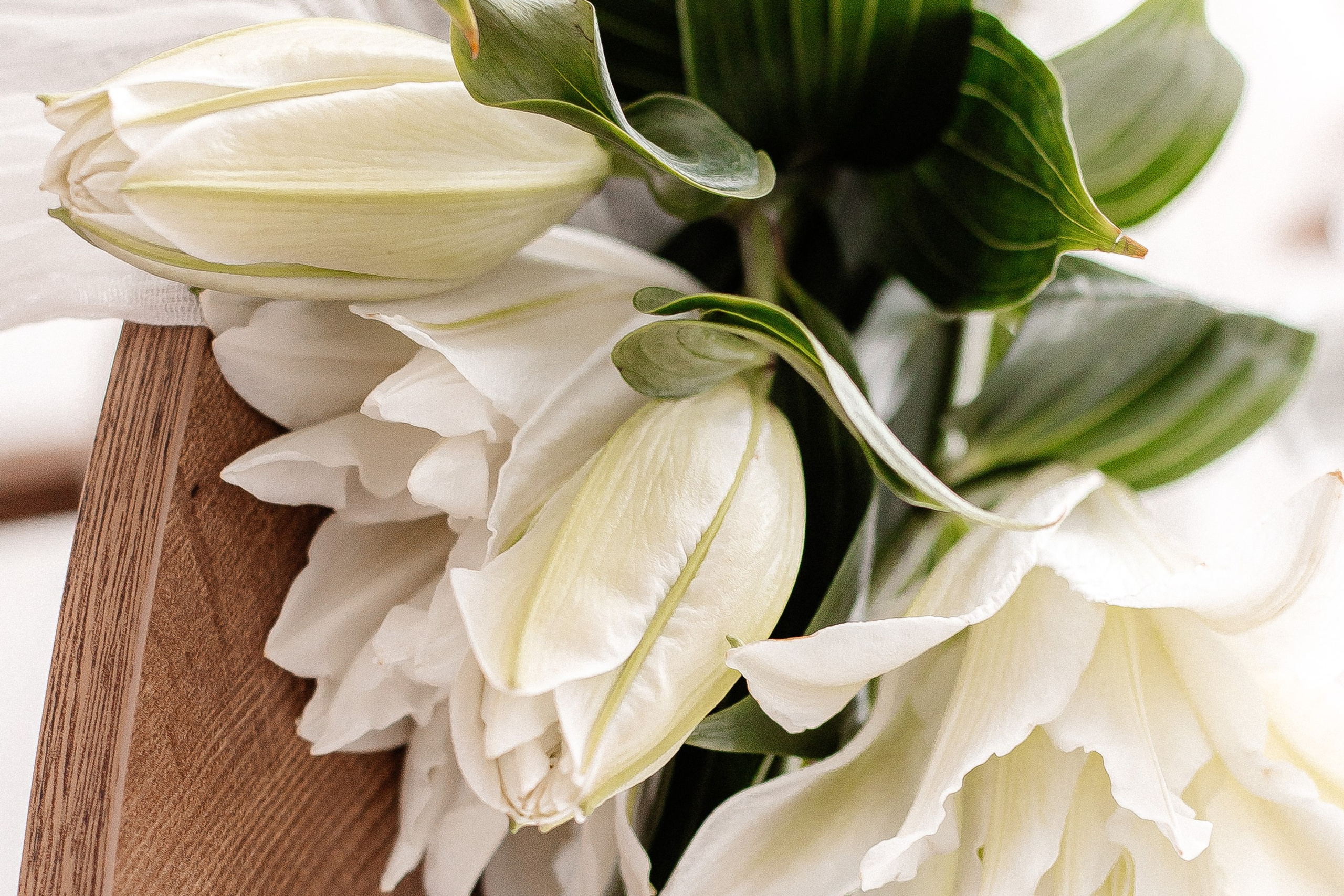 Портфолио. Семейный фотограф в Саратове Элоиза Ляпина