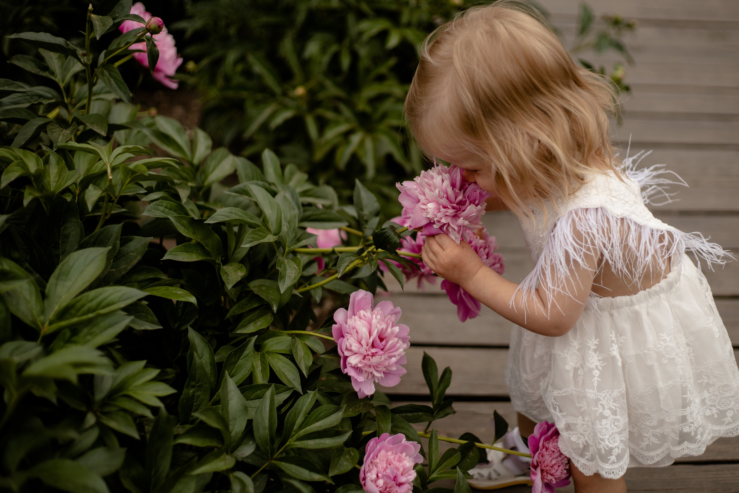 Портфолио. Семейный фотограф в Саратове Элоиза Ляпина