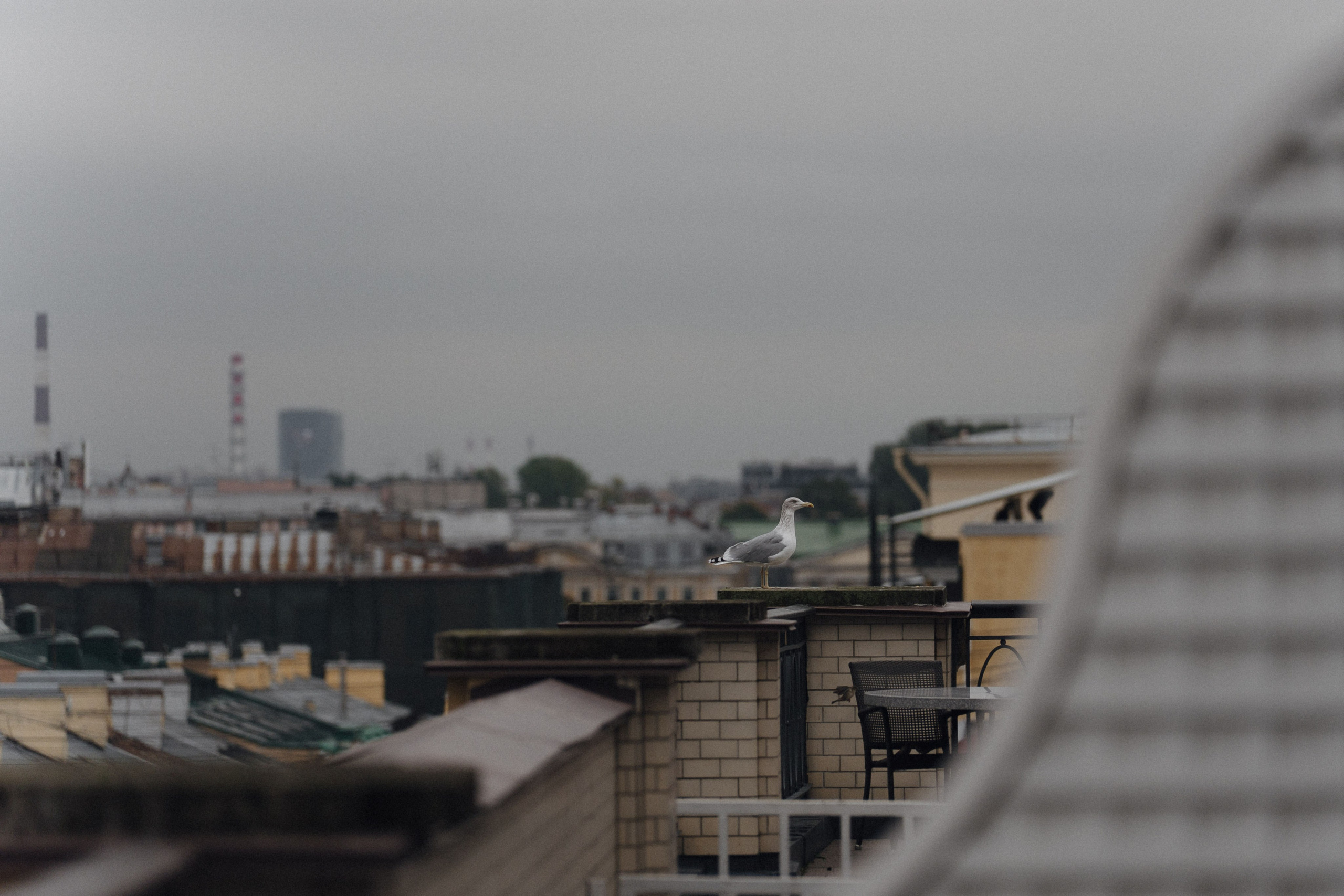 UNREAL. Фотограф в Санкт-Петербурге Александр Дымов