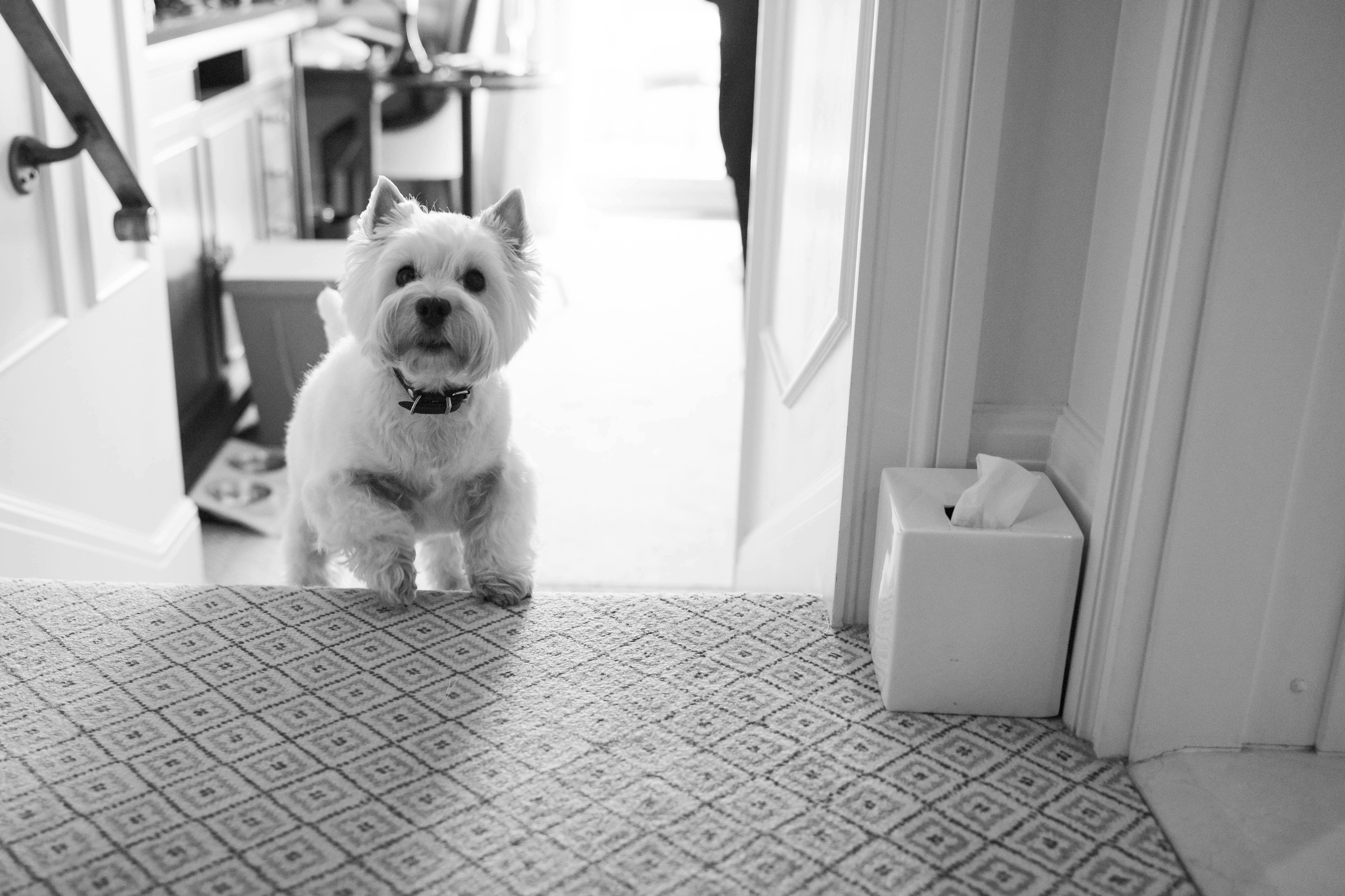 UNREAL. Фотограф в Санкт-Петербурге Александр Дымов