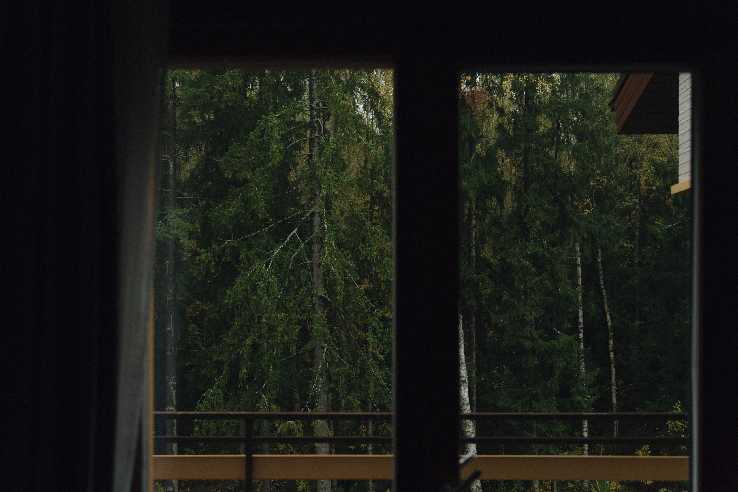 UNREAL. Фотограф в Санкт-Петербурге Александр Дымов