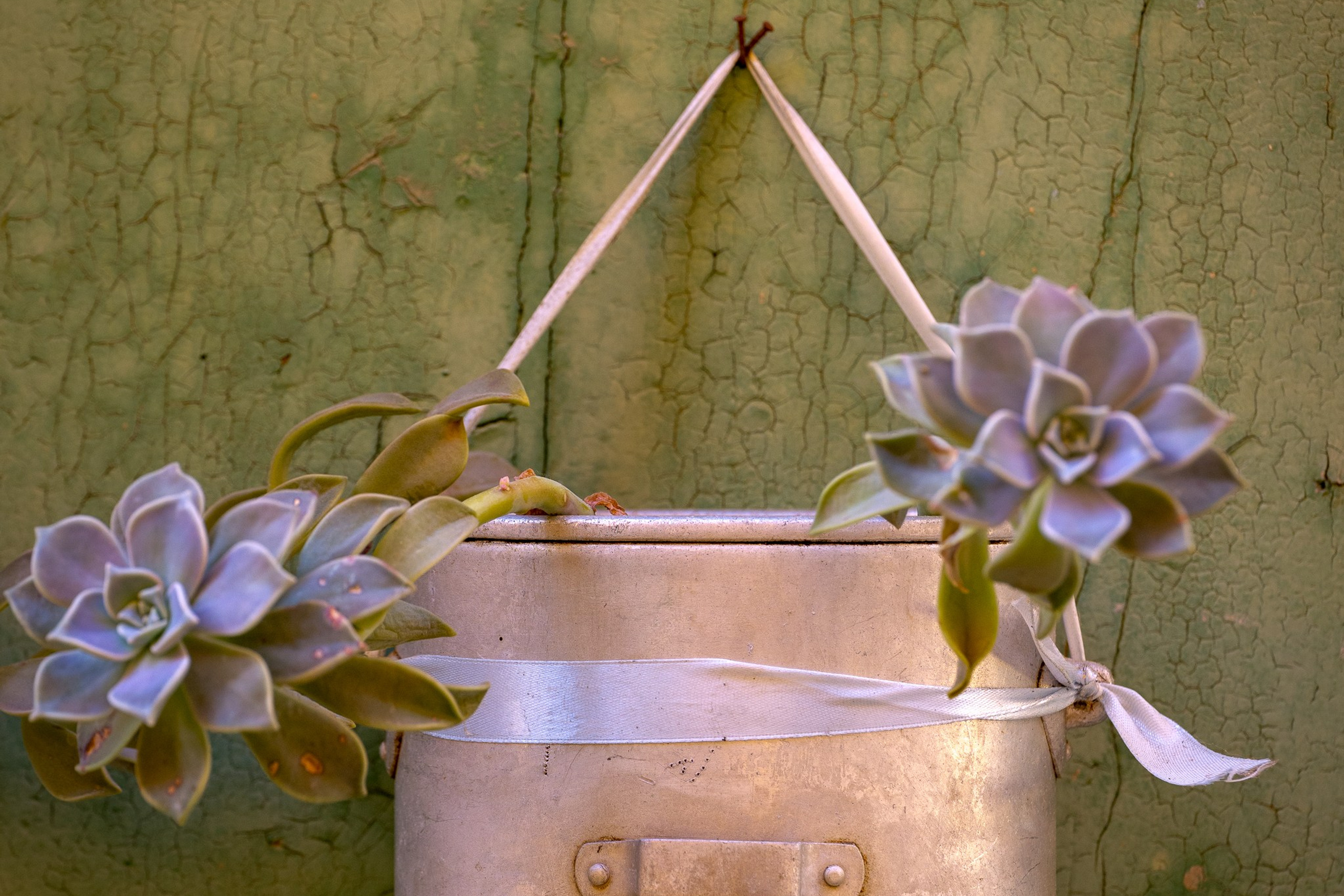 Озёрный край Барилоче. Авторские стильные фотокартины