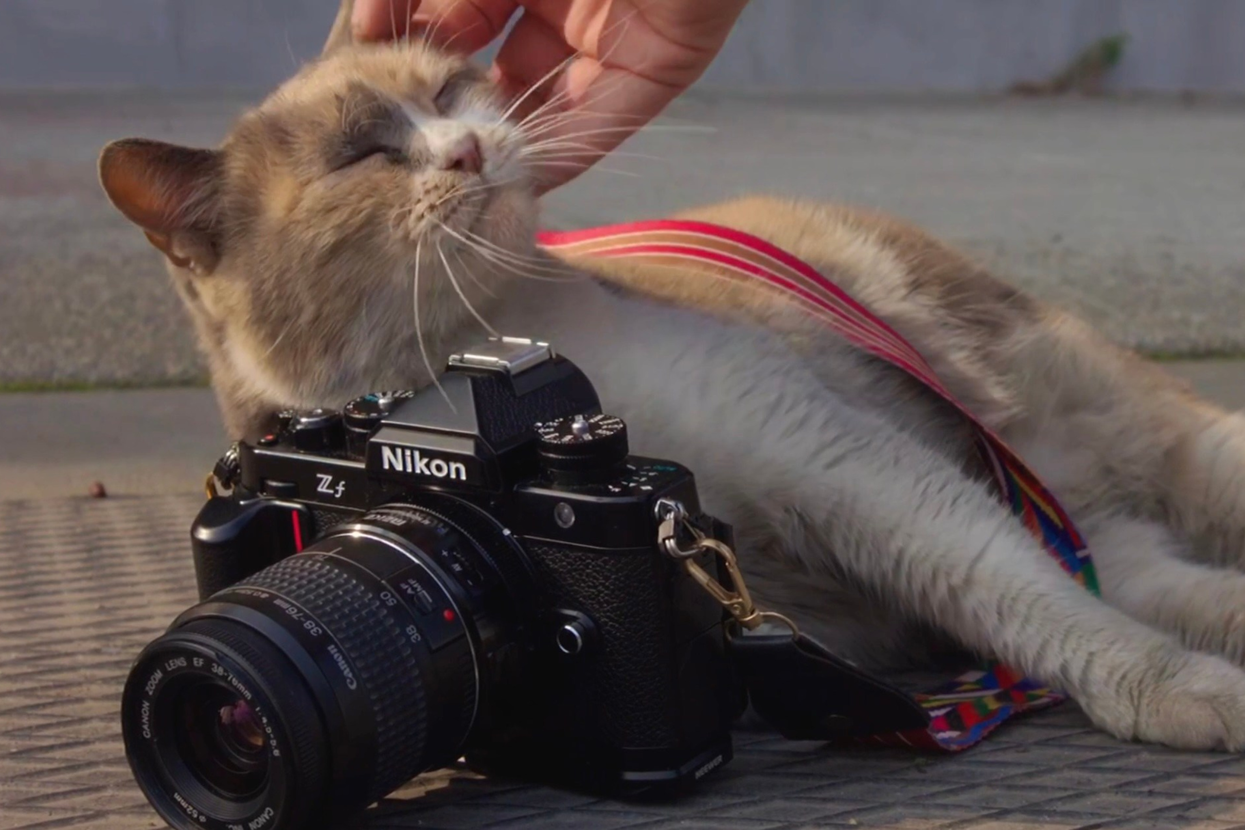 Продвижение бизнеса в геосервисах: полный кейс. Рекламный и коммерческий фотограф | Георгий Романов