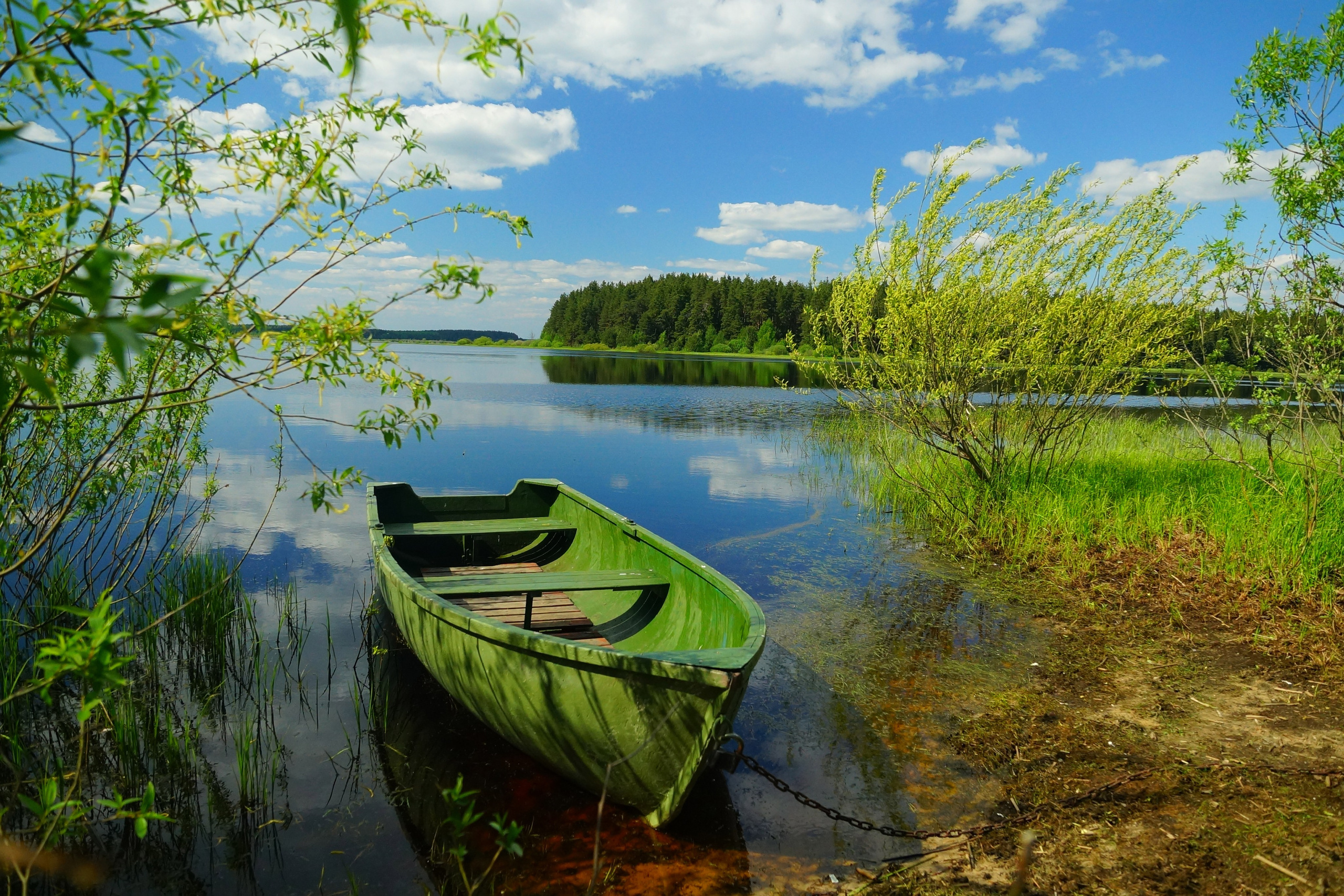 Рязанская область 13.08.26 — 16.08.26