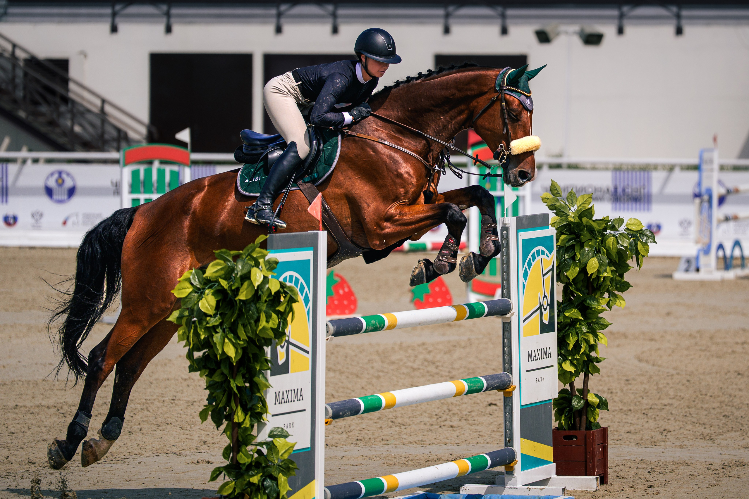 КОННЫЙ СПОРТ